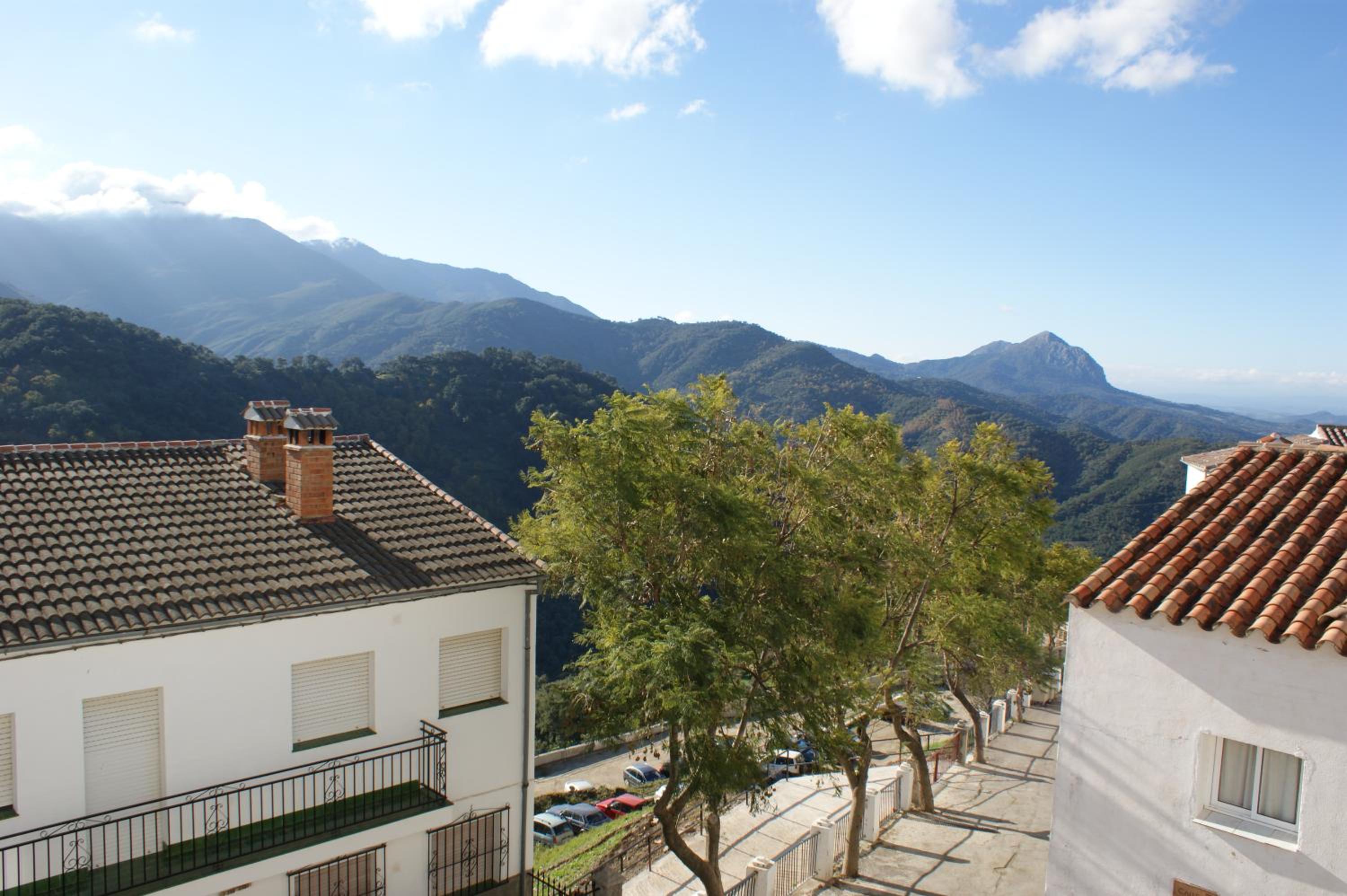 Casas Rurales Jardines del Visir