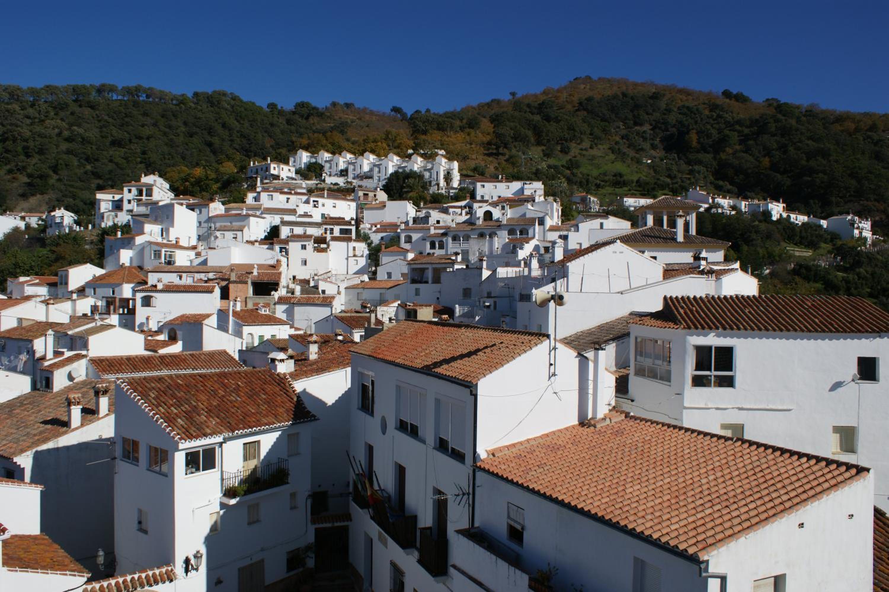 Casas Rurales Jardines del Visir