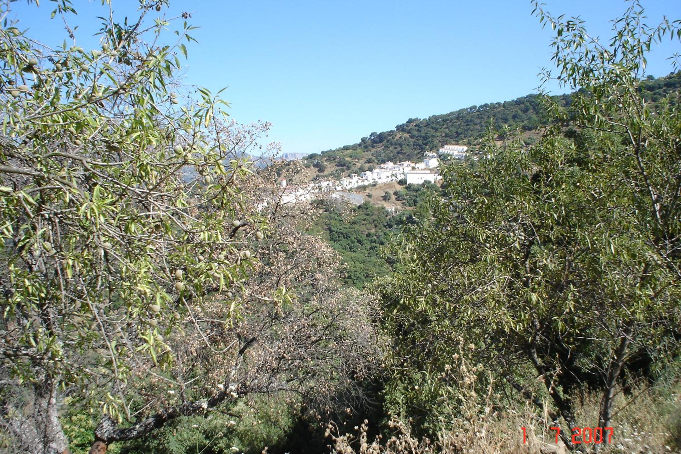 Casas Rurales Jardines del Visir
