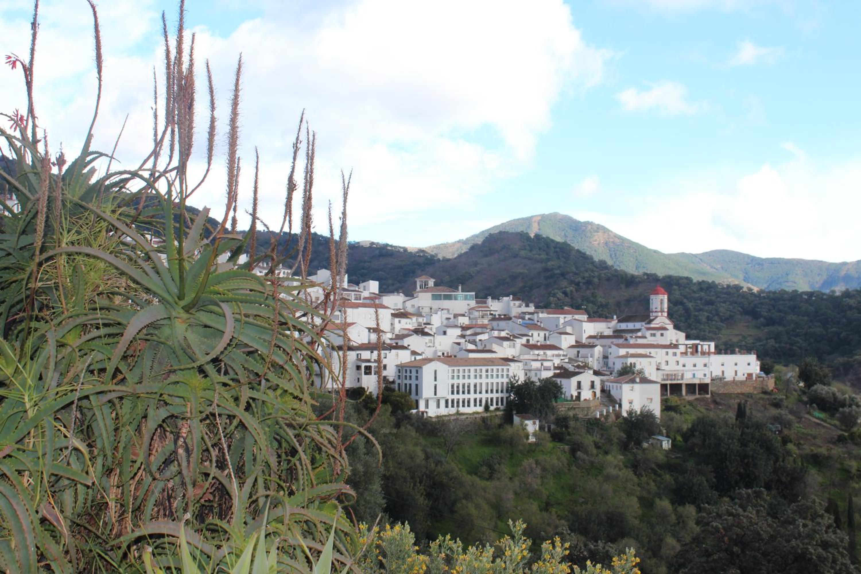 Casas Rurales Jardines del Visir