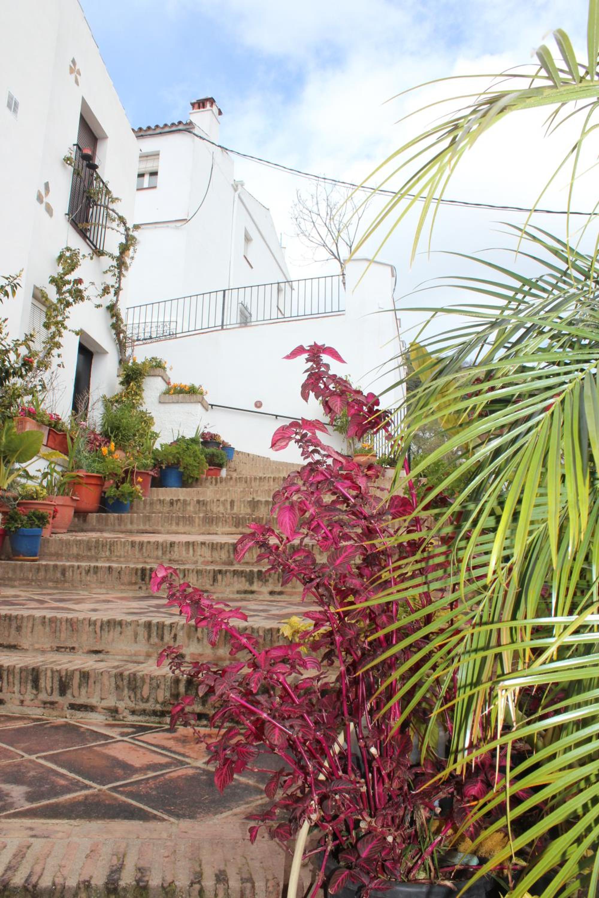 Casas Rurales Jardines del Visir