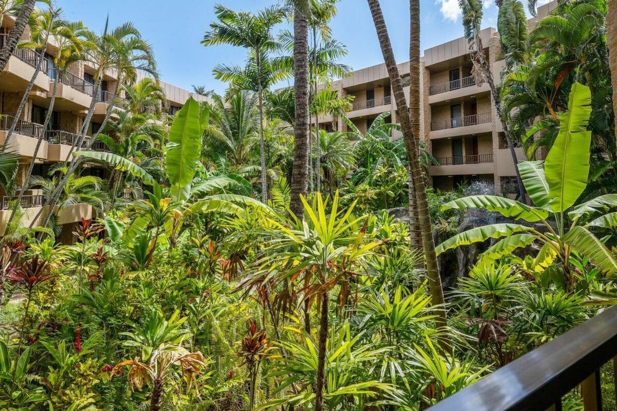 Paki Maui 217 · PM 217 Cozy 1BR Oceanfront Condo w Pool