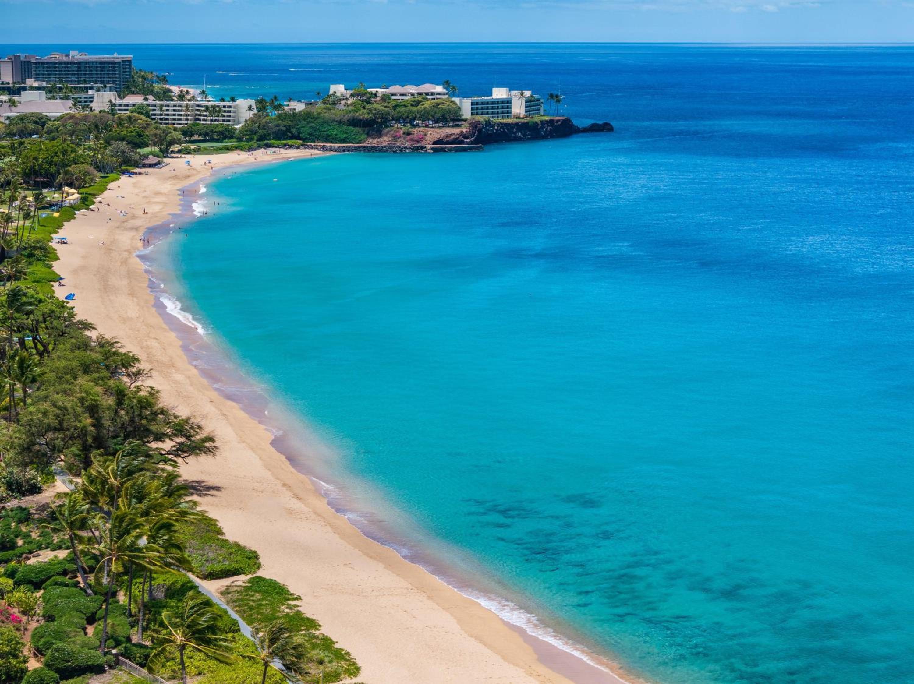 Kaanapali Shores 515 · KS 515 Updated 2Bedroom at BeachFron