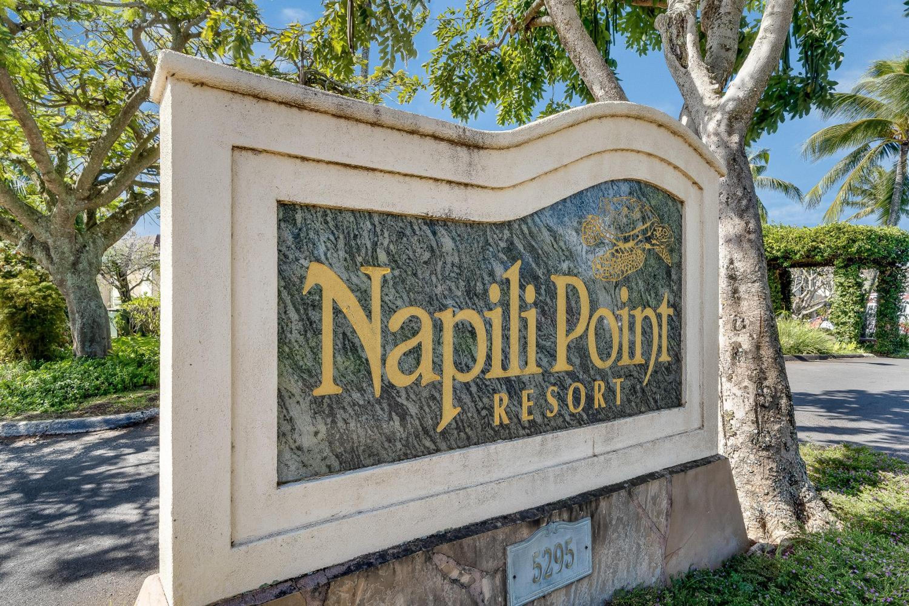 Napili Point C22 · NP C22 Oceanfront Views from 2BD West Maui Co