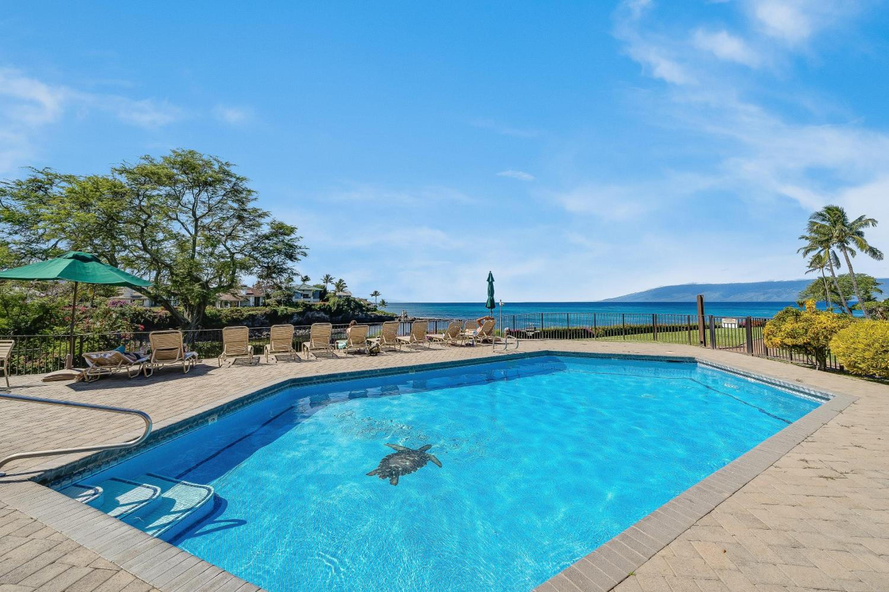 Napili Point C22 · NP C22 Oceanfront Views from 2BD West Maui Co