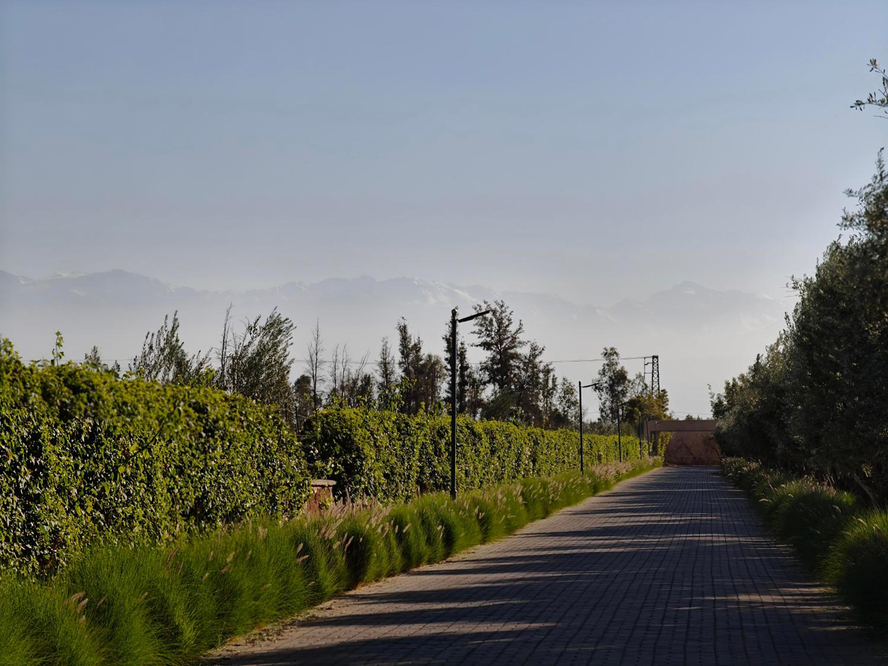 Duplex Premium 3 Suites, Style Villa, Terrasse & Accès direct piscine, Oliver Palm Resort Marrakech