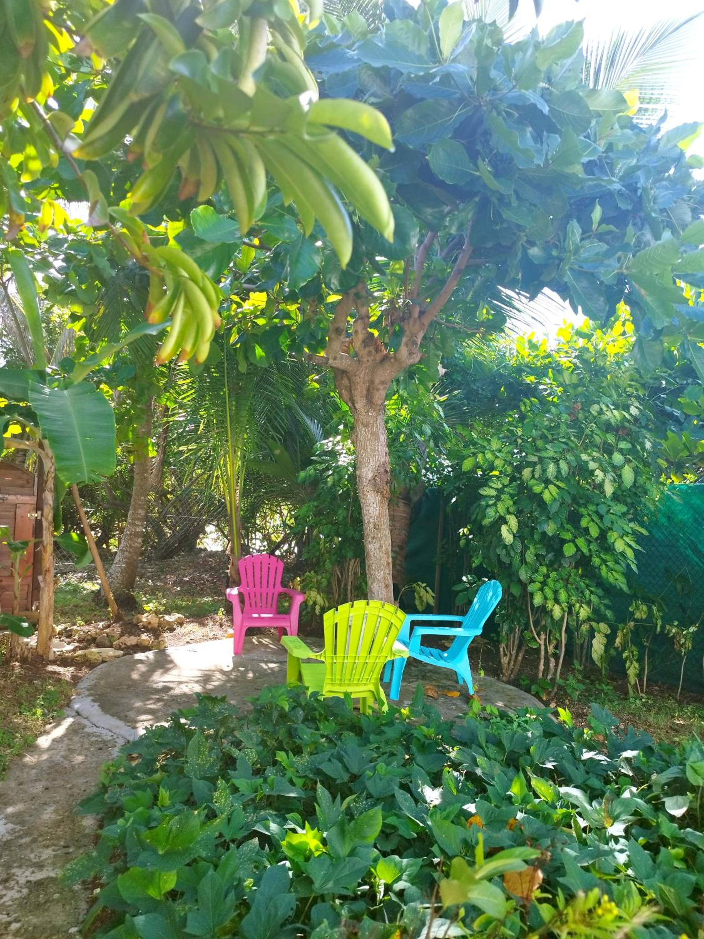 Miracle des Caraibes