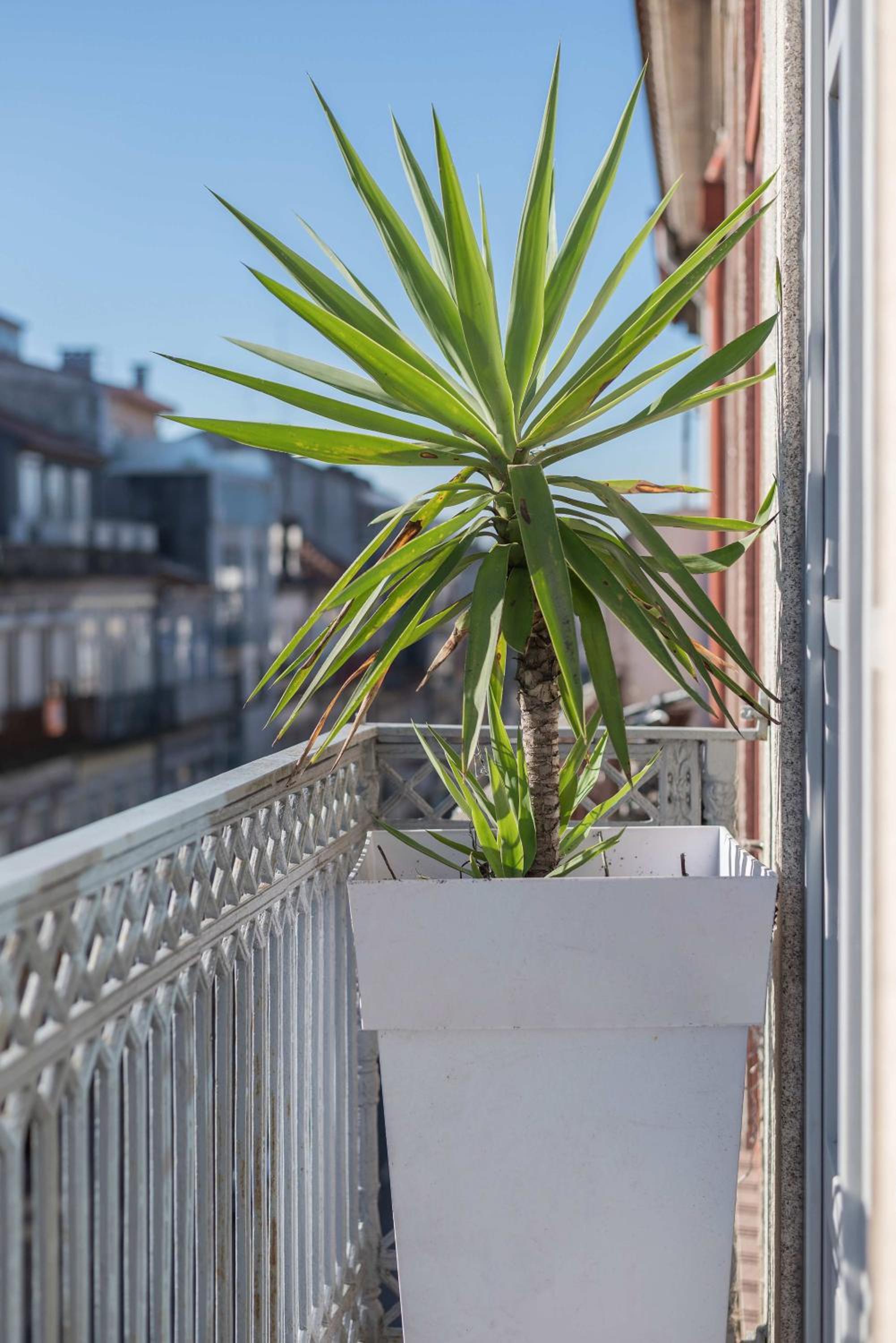 Liiiving in Porto - Design Palace Studio