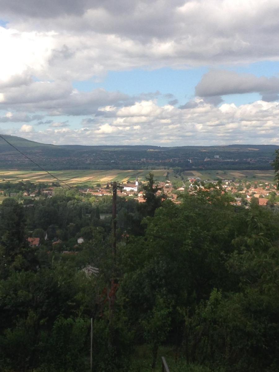 Photo 26