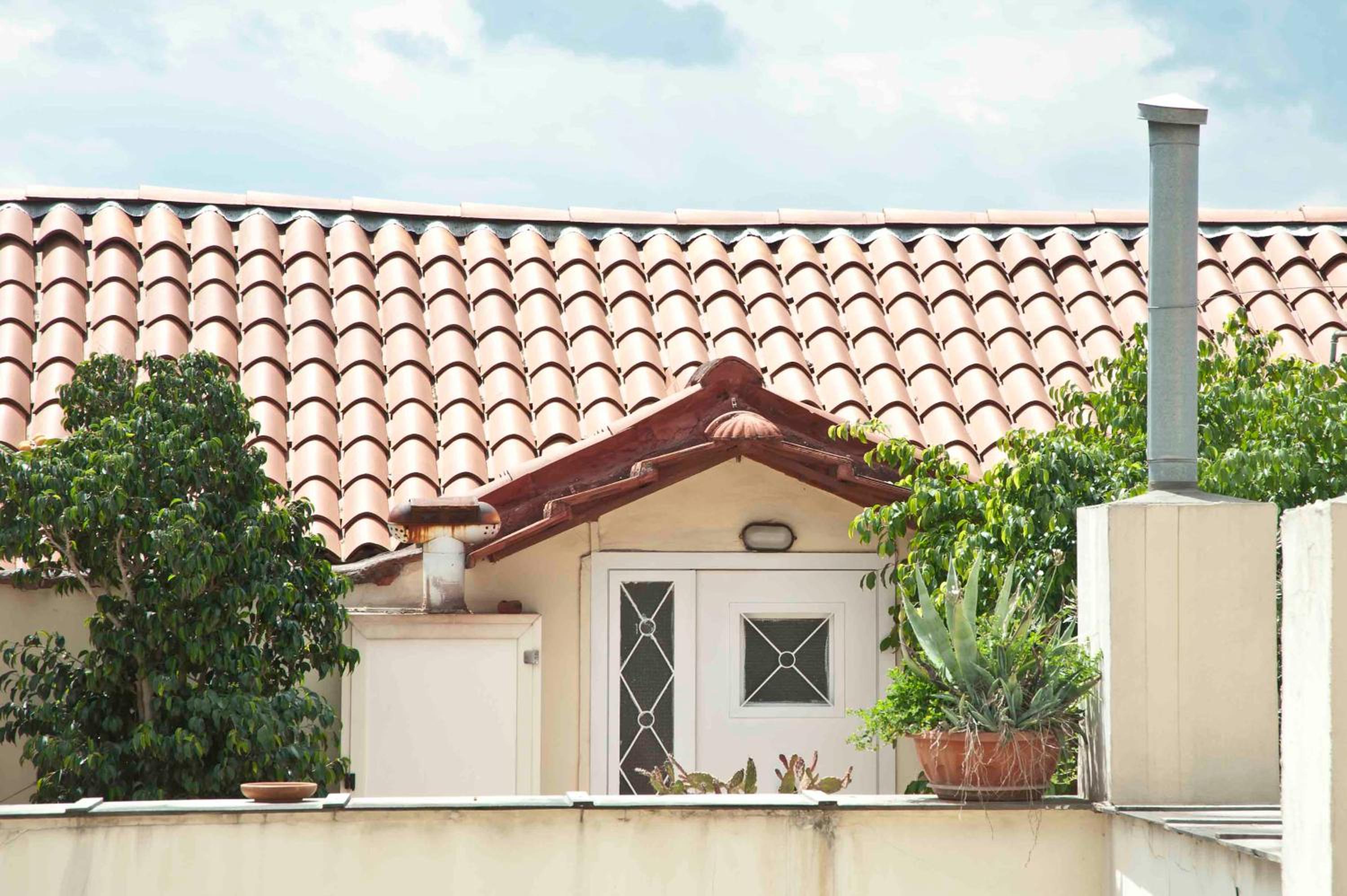 roof