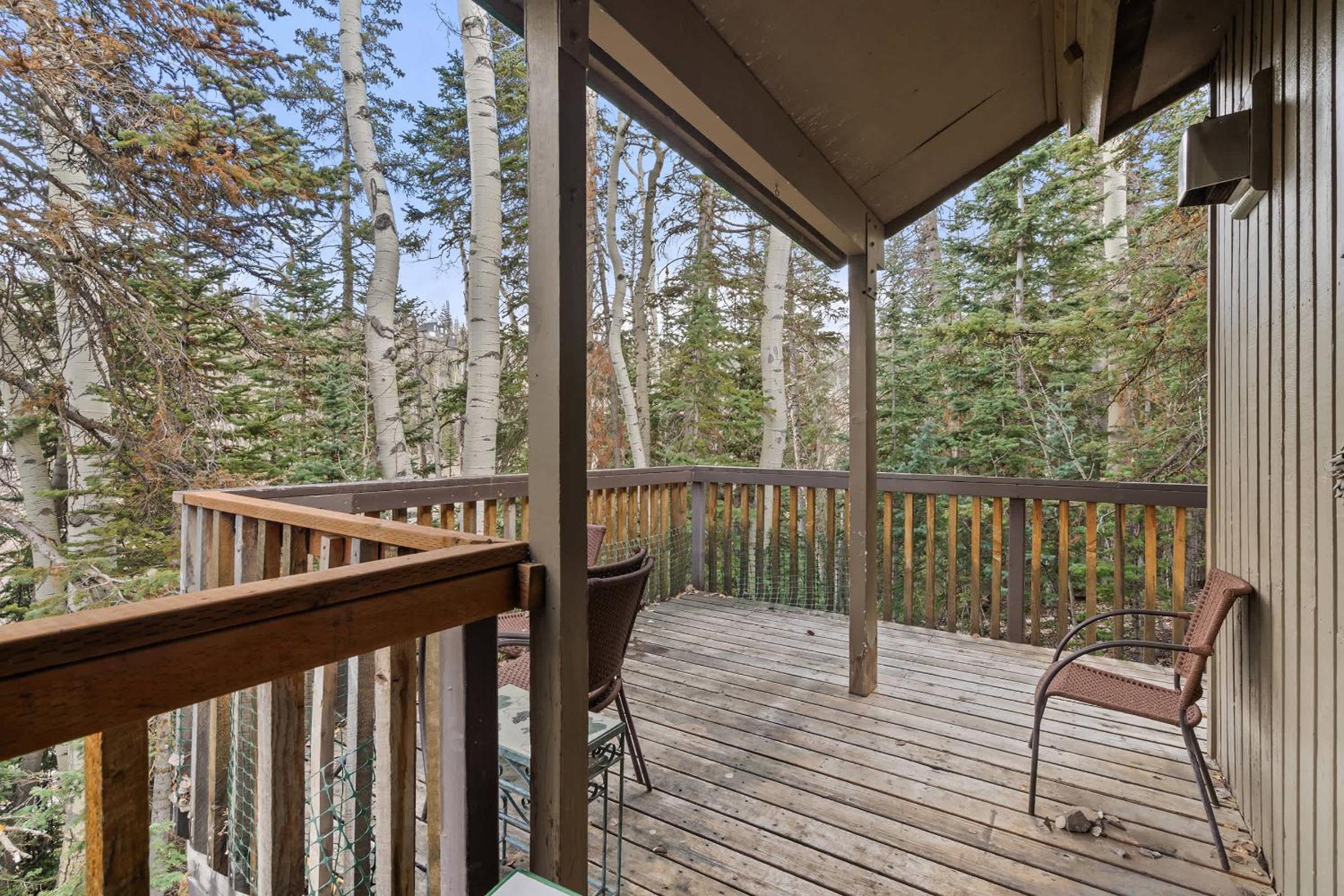 Ski Access SS7B Retreat Pet Friendly