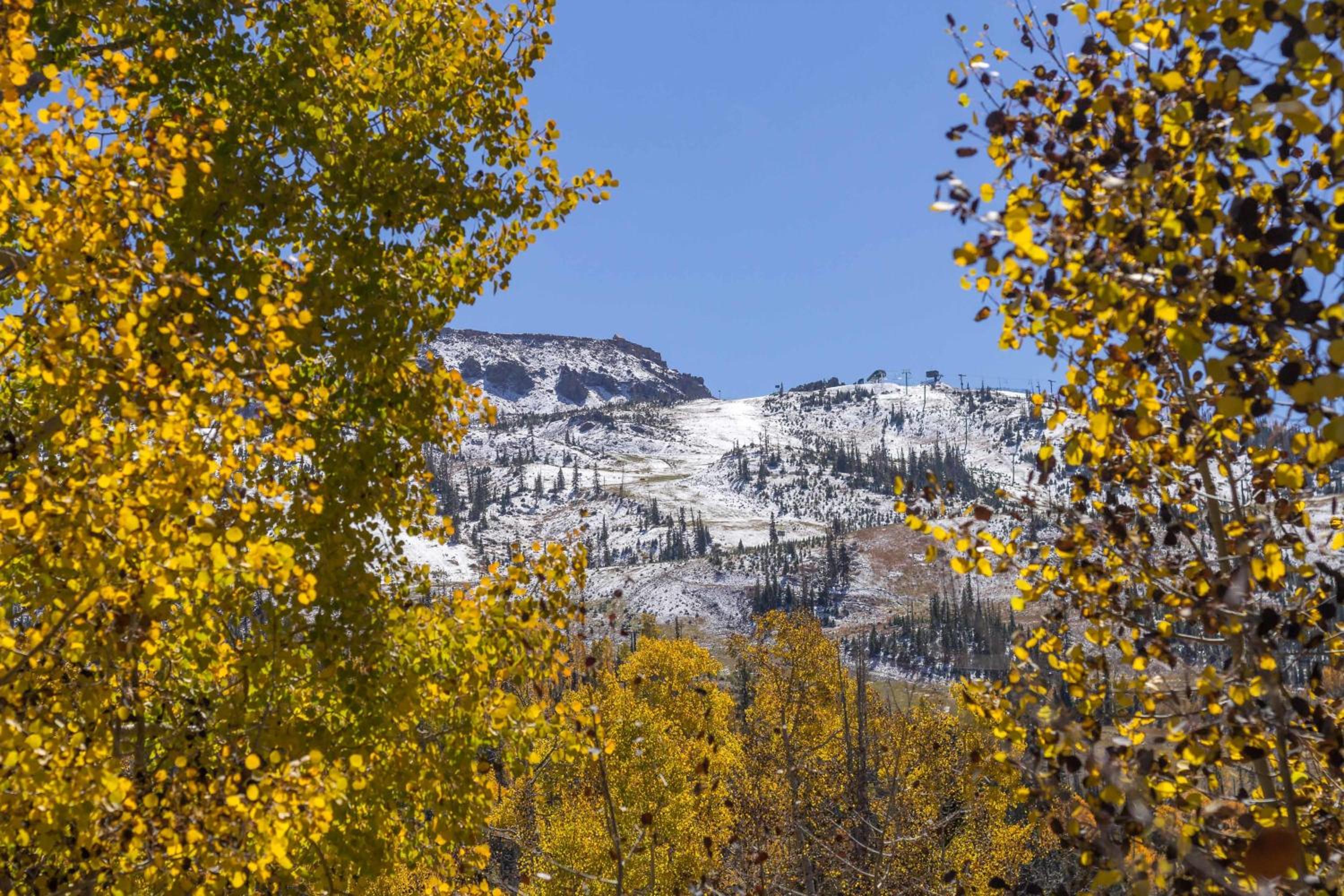Ski Access SS7B Retreat Pet Friendly