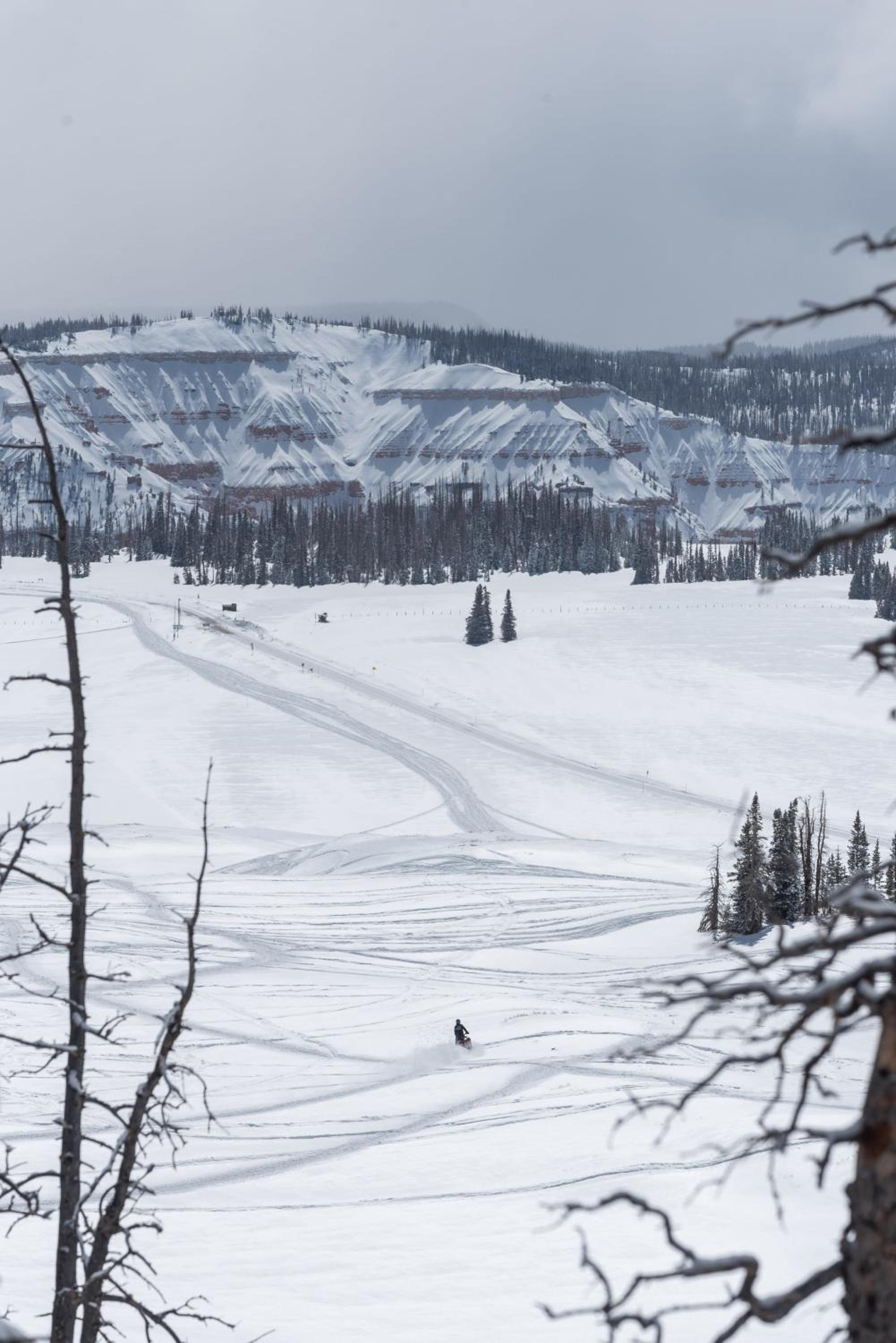 Ski Access SS7B Retreat Pet Friendly