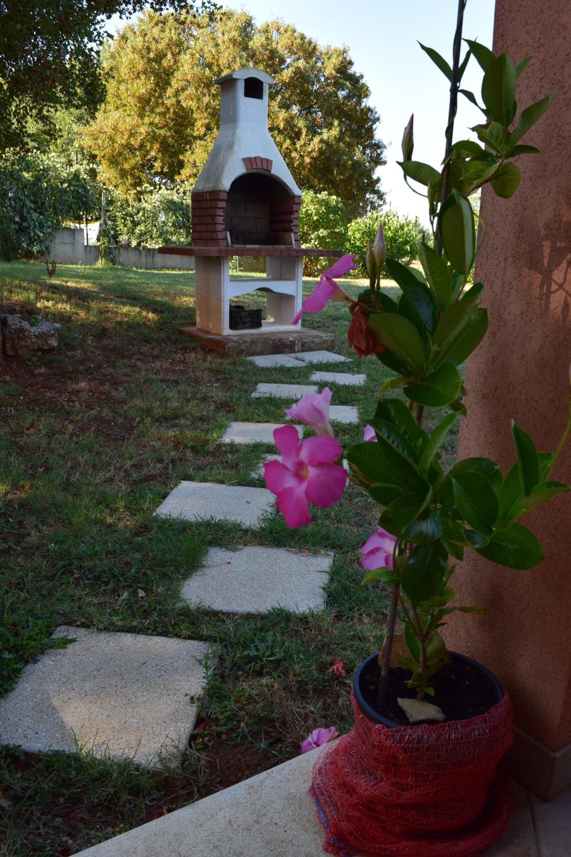 Photo 27