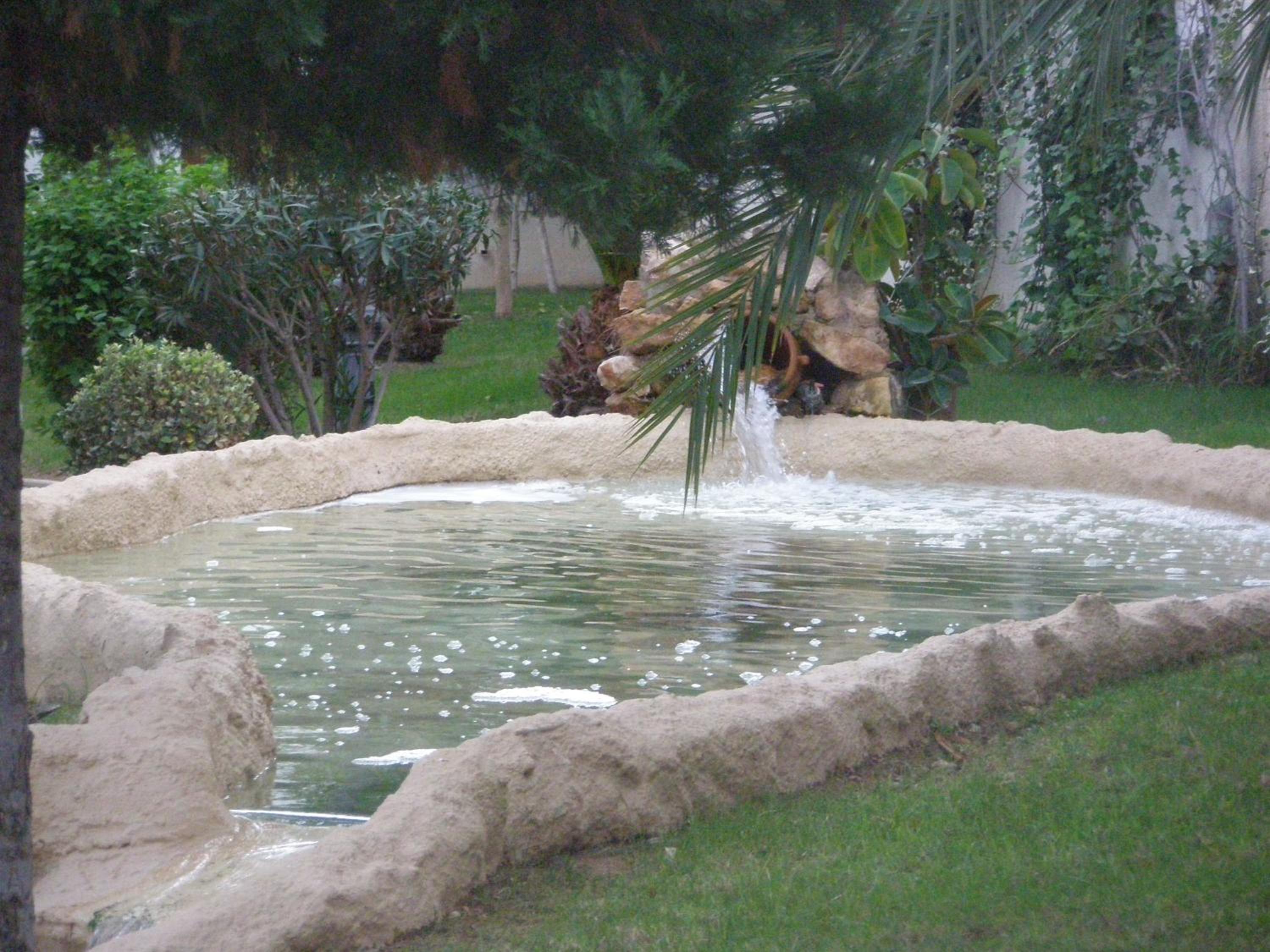 Photo 40