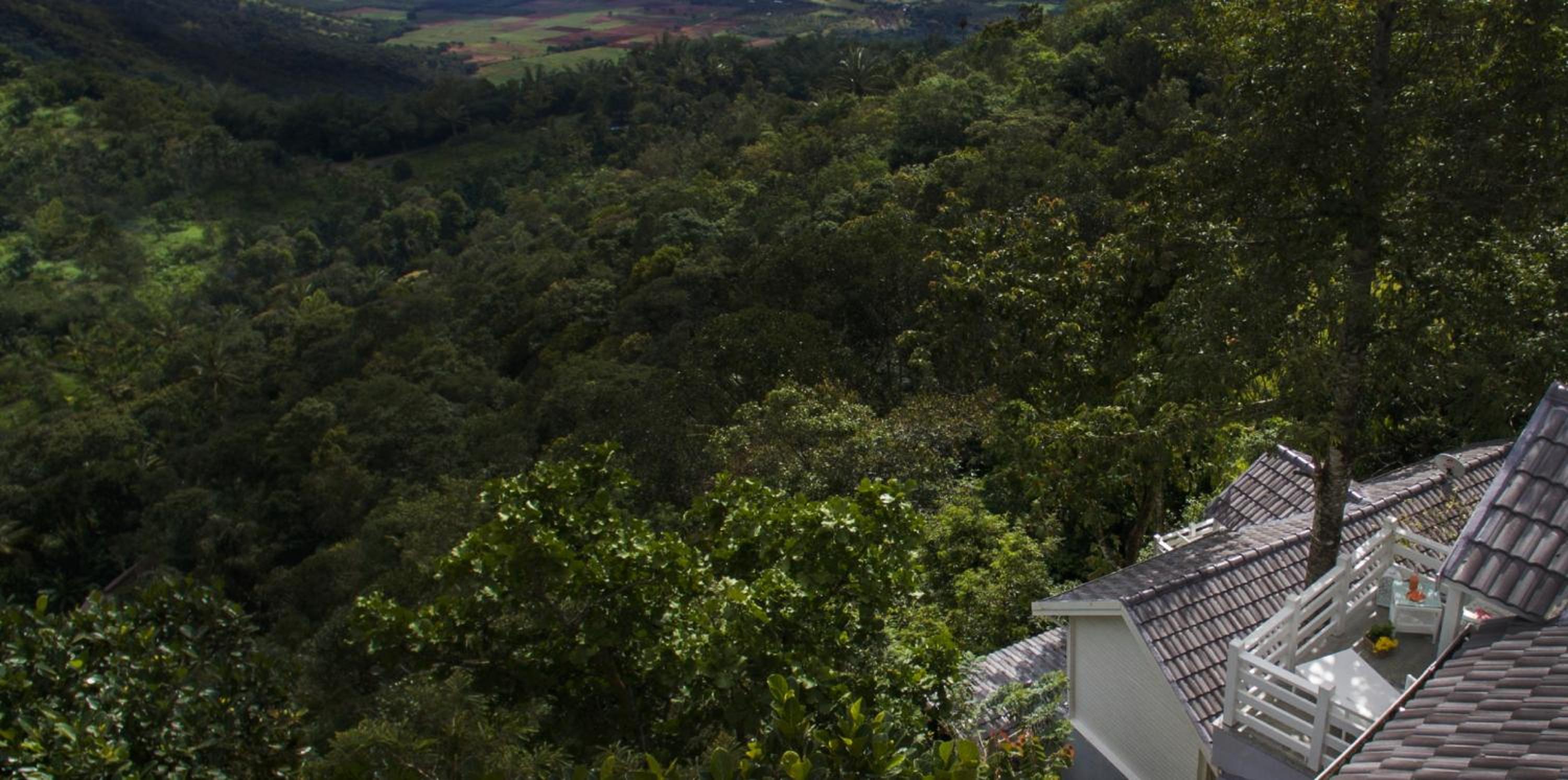 Thekkady Vacations - Hills  Hues - Property Image 12