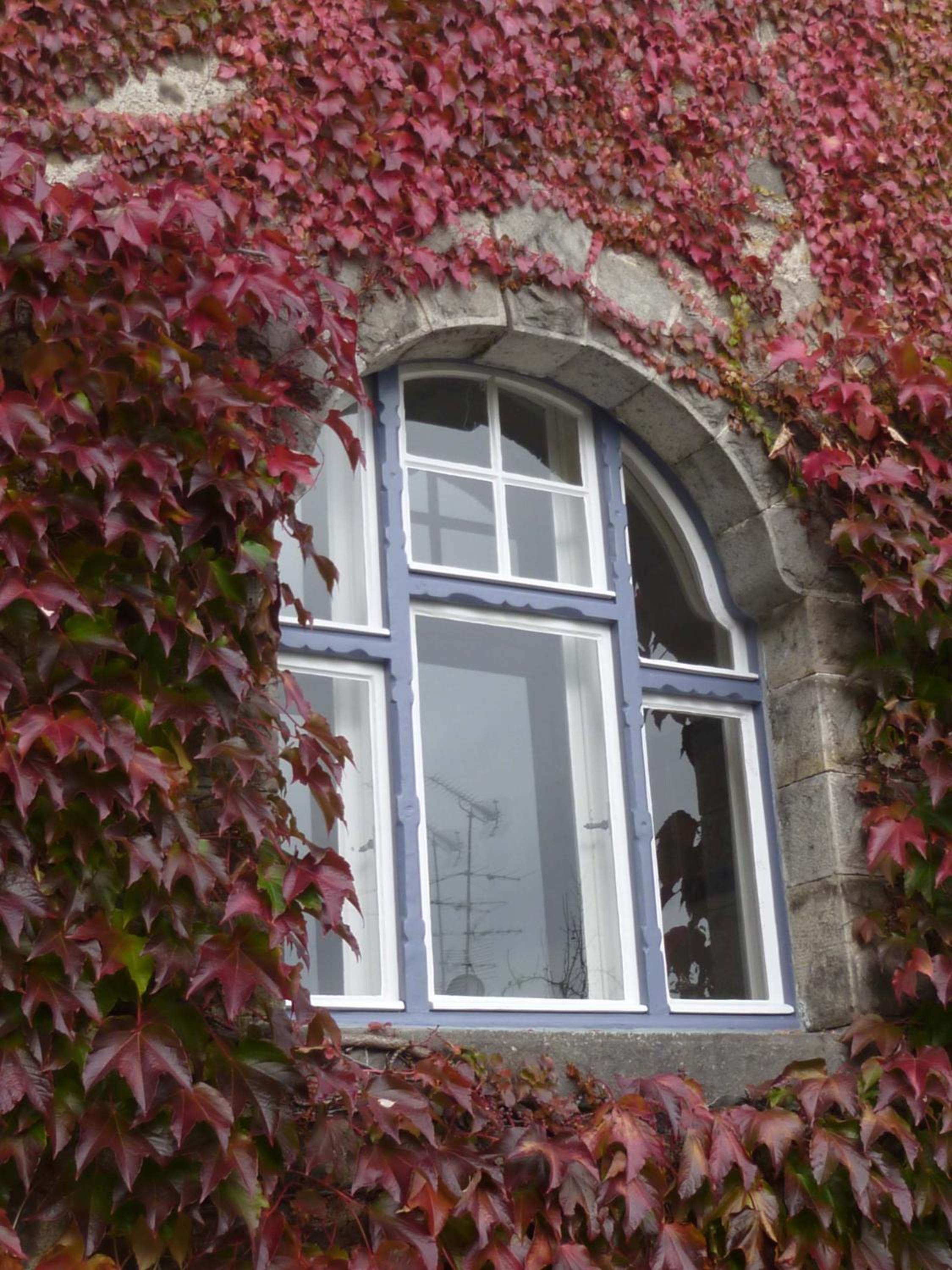 Villa Breitenberg