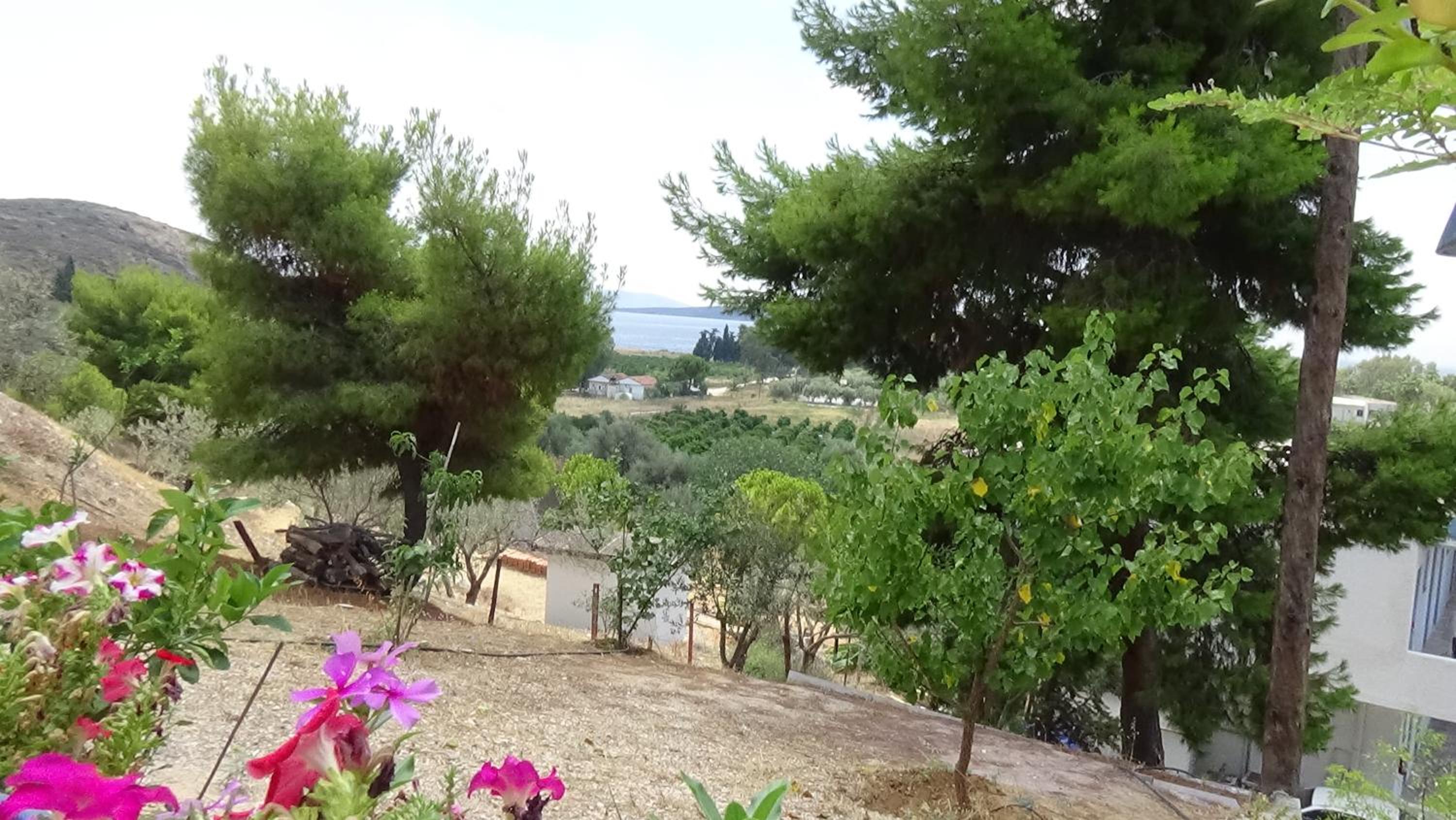 Alexandros Apartments