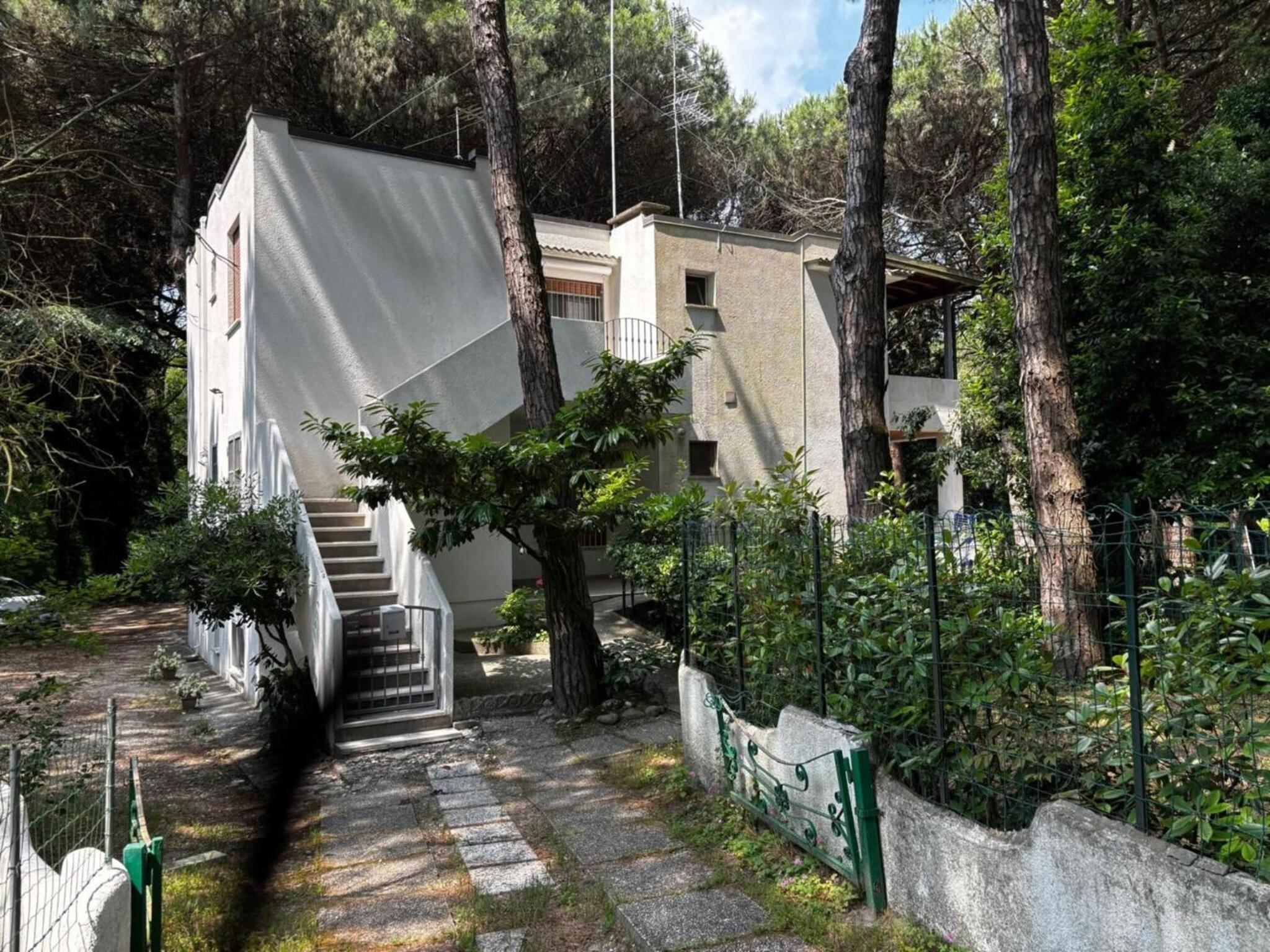 Cozy apartment in the heart of the pinewood