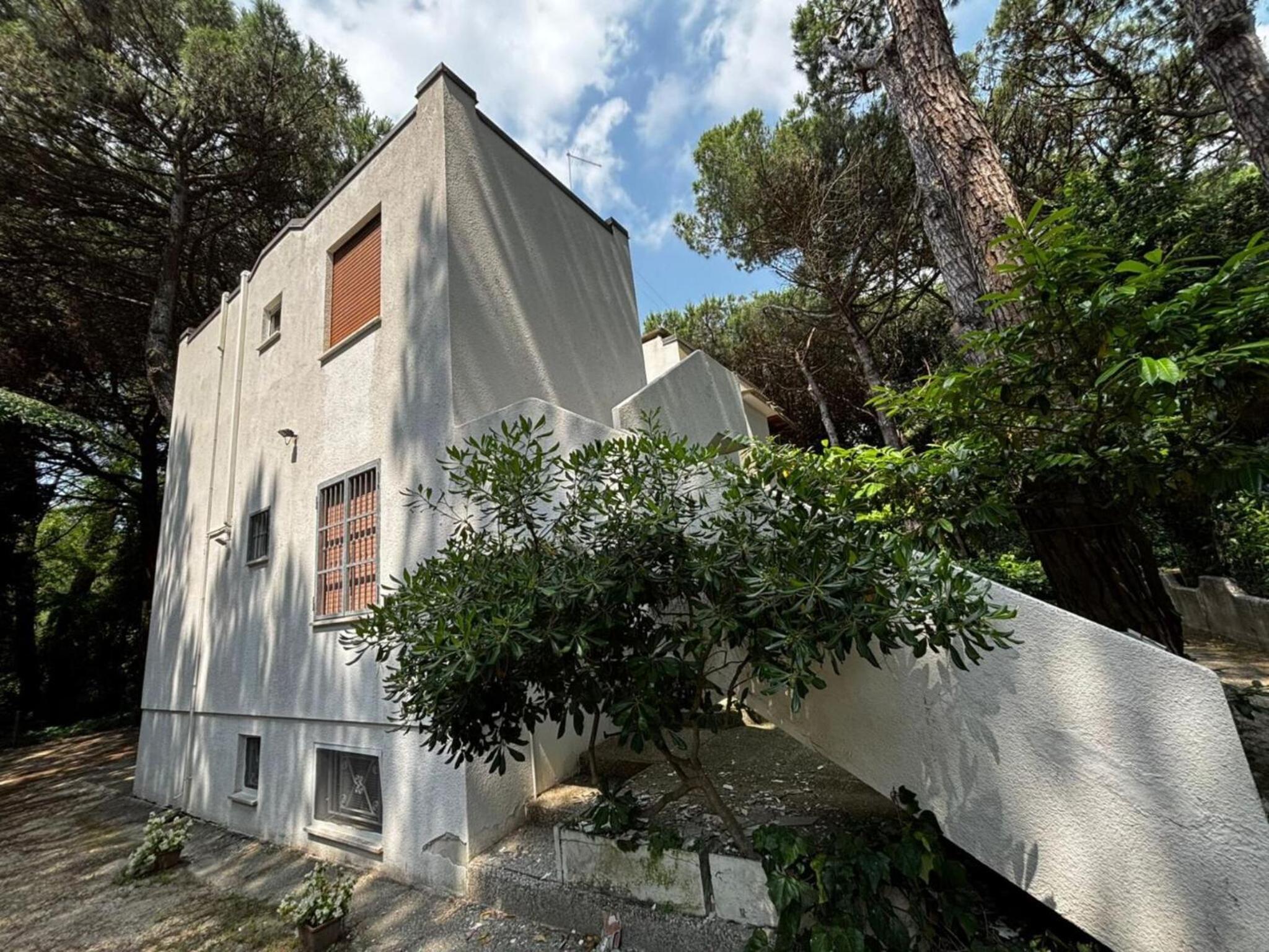 Cozy apartment in the heart of the pinewood