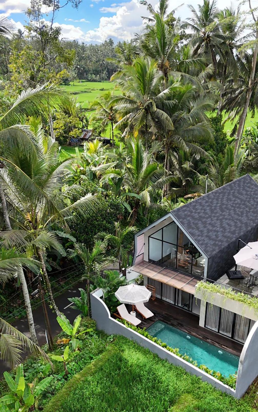Sava Villa Ubud Rice Fields View