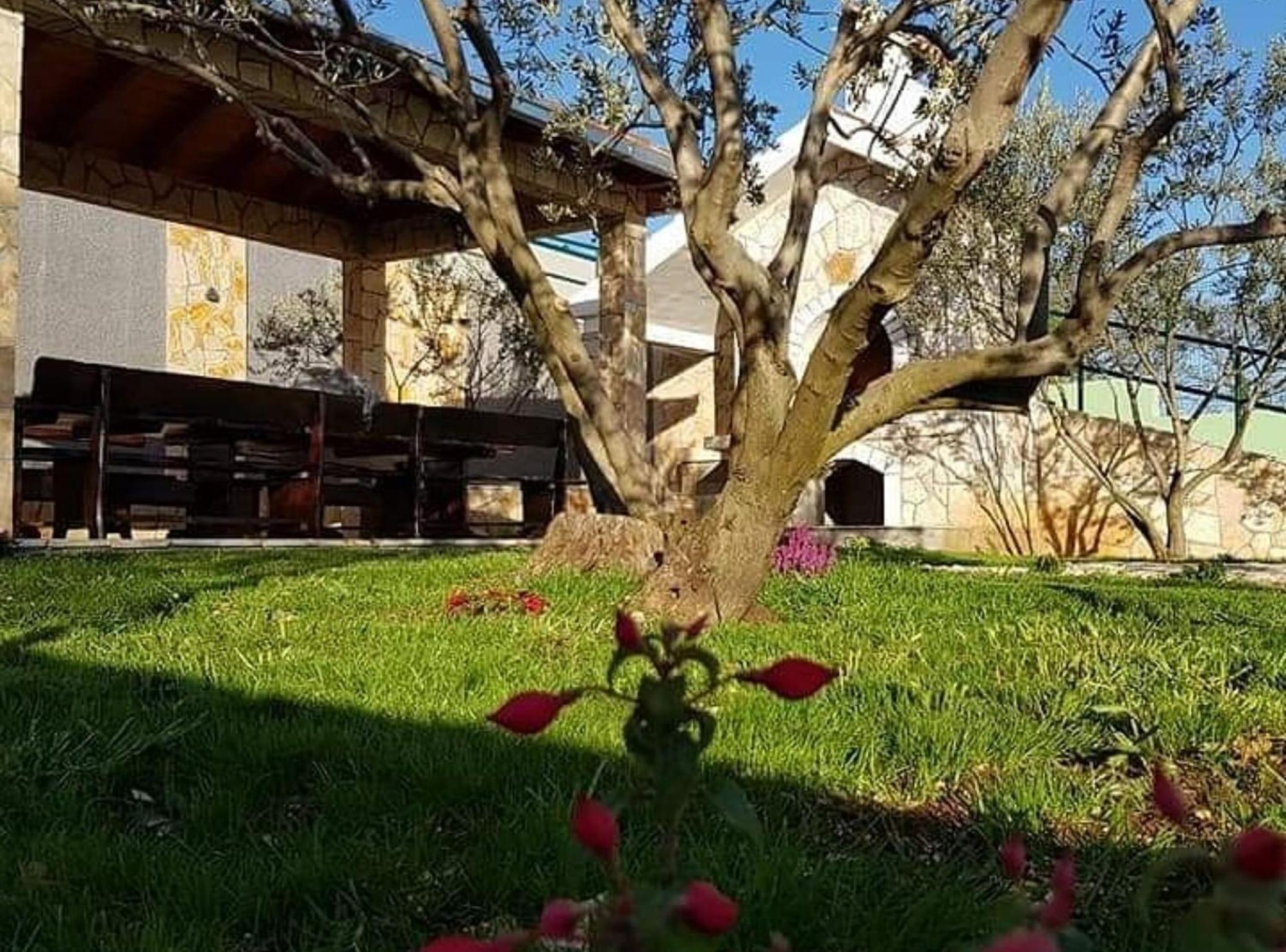 Villa Popovića dvori