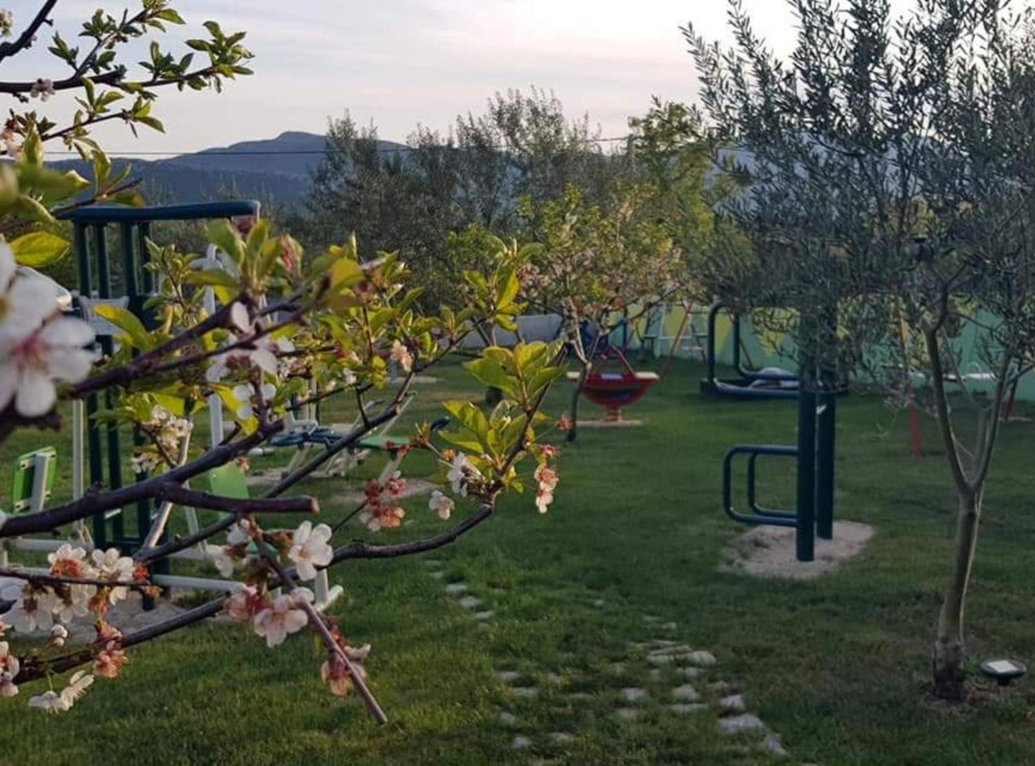 Villa Popovića dvori