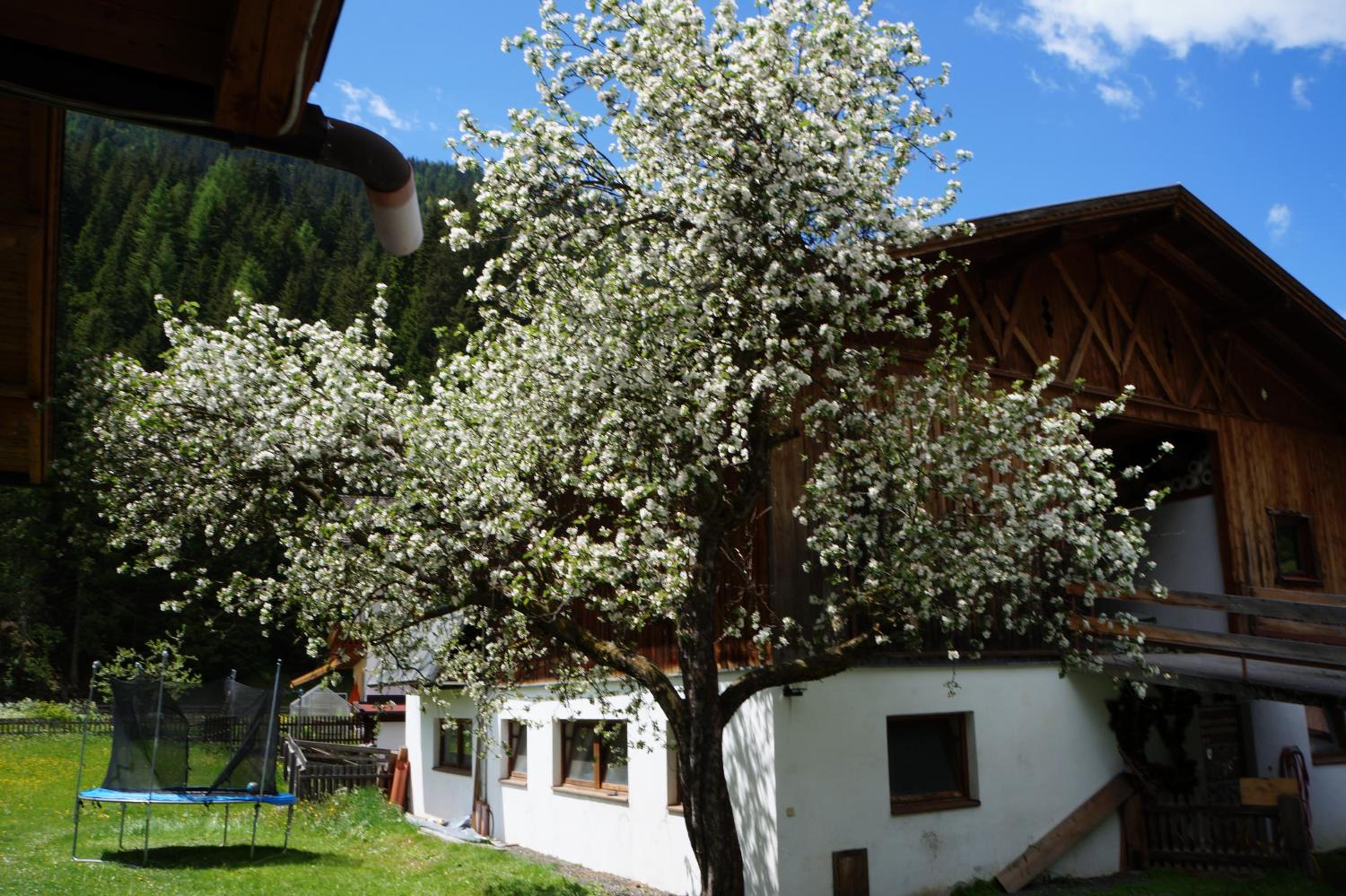 Photo 48