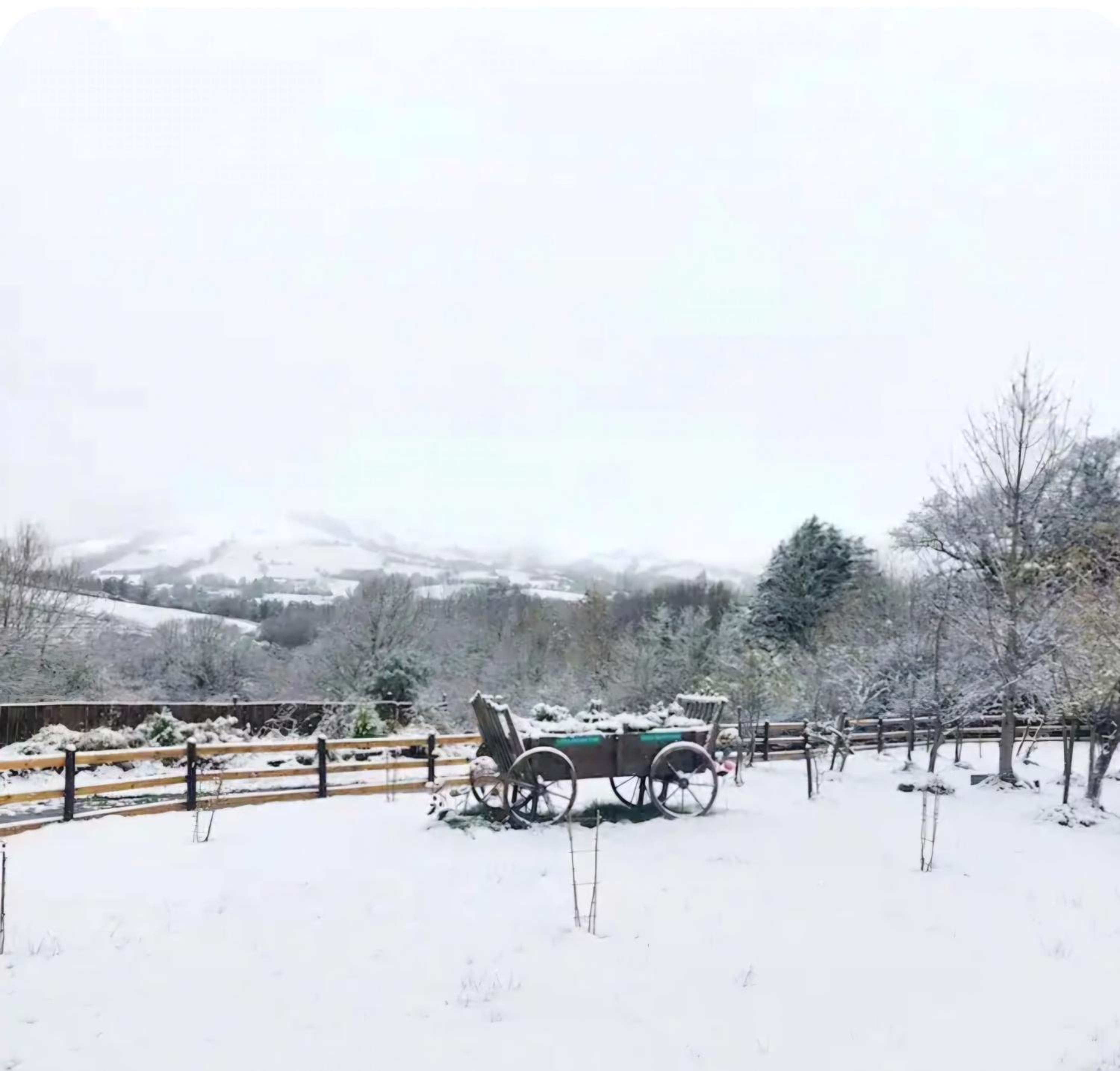 Alpaca cabin-mountain view-hot tub-rural retreat