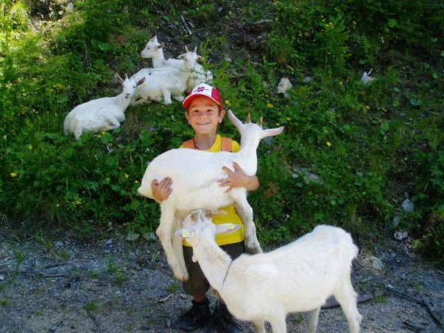 Photo 117