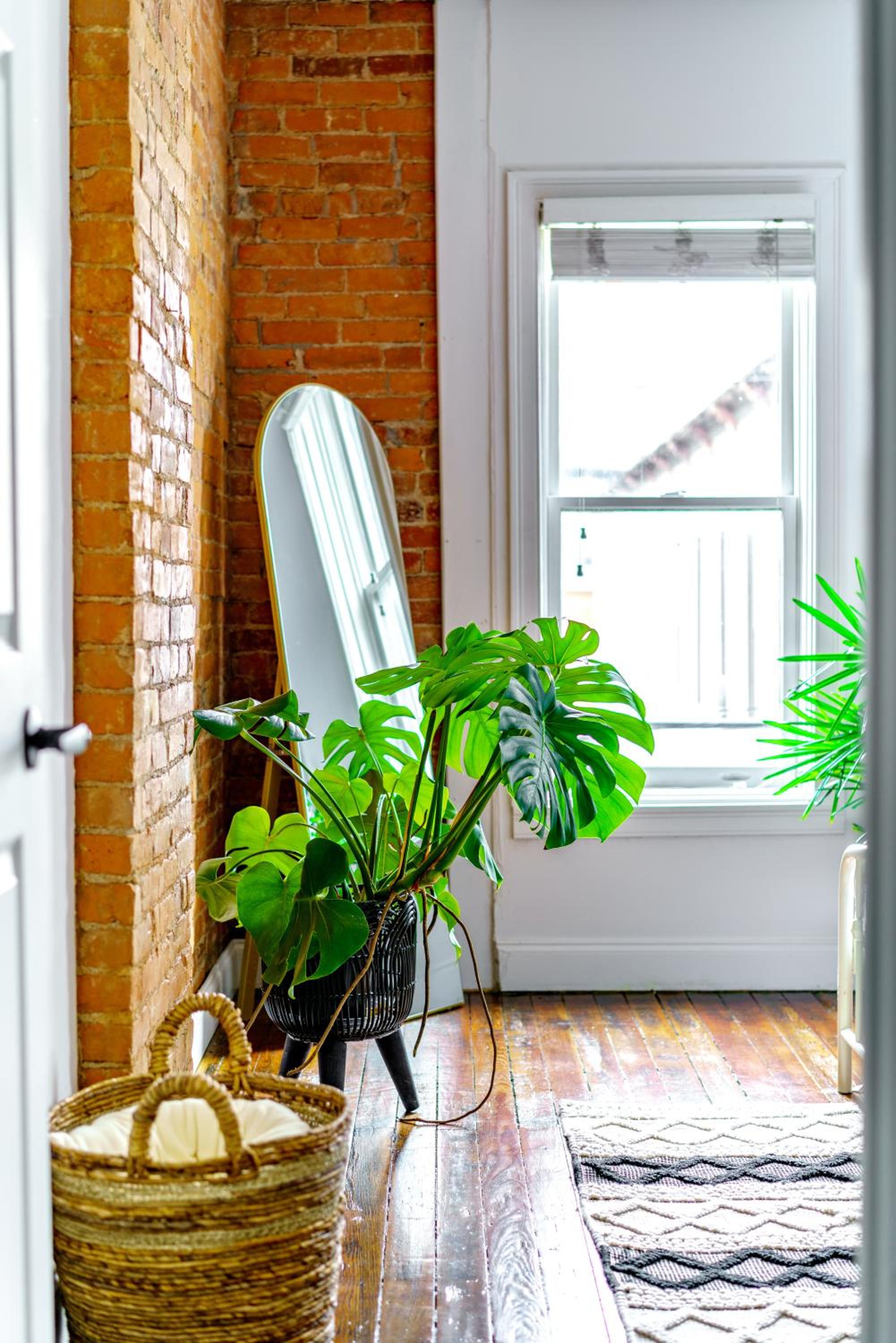 Jungle House Columbus Sleep 16 Downtown Ohio Free Parking - Near Convention Center & Nationwide Arena - 4BR Luxury Home - Pet Friendly - Over 5,800 Five St