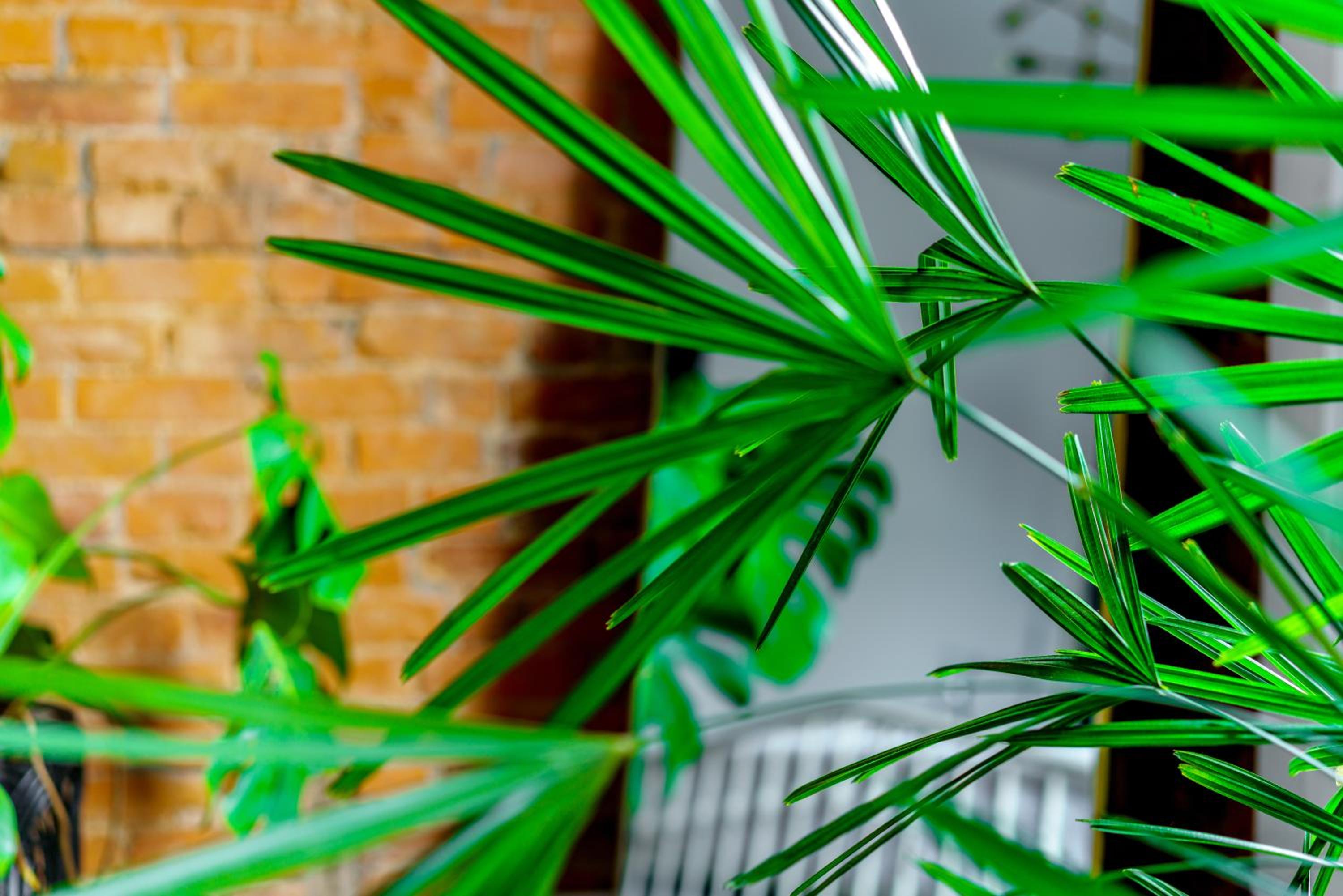 Jungle House Columbus Sleep 16 Downtown Ohio Free Parking - Near Convention Center & Nationwide Arena - 4BR Luxury Home - Pet Friendly - Over 5,800 Five St