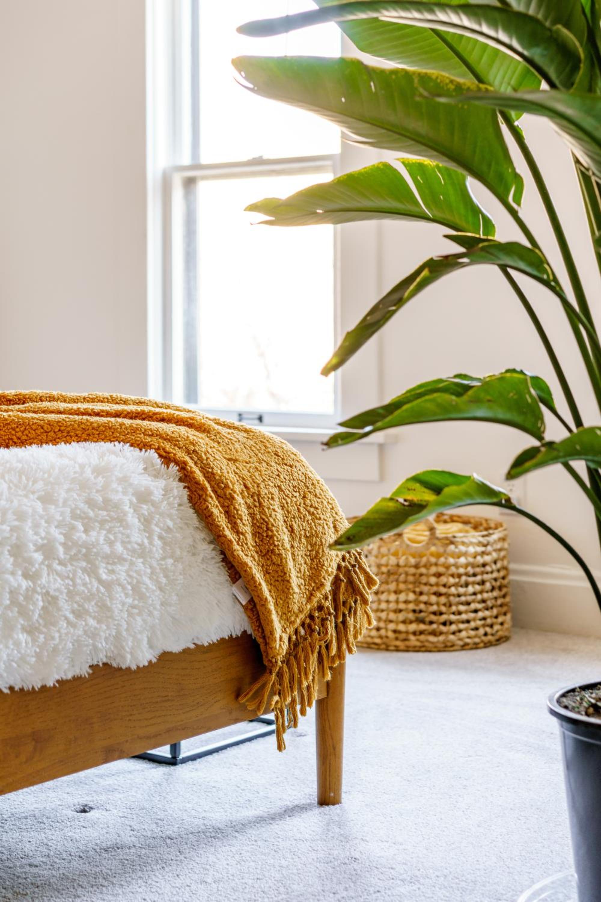 Jungle House Luxury Homes - Columbus Downtown Short North - Near Convention Center & Nationwide Arena - Sleeps up to 12 - Free Parking - Over 5,800 Five St