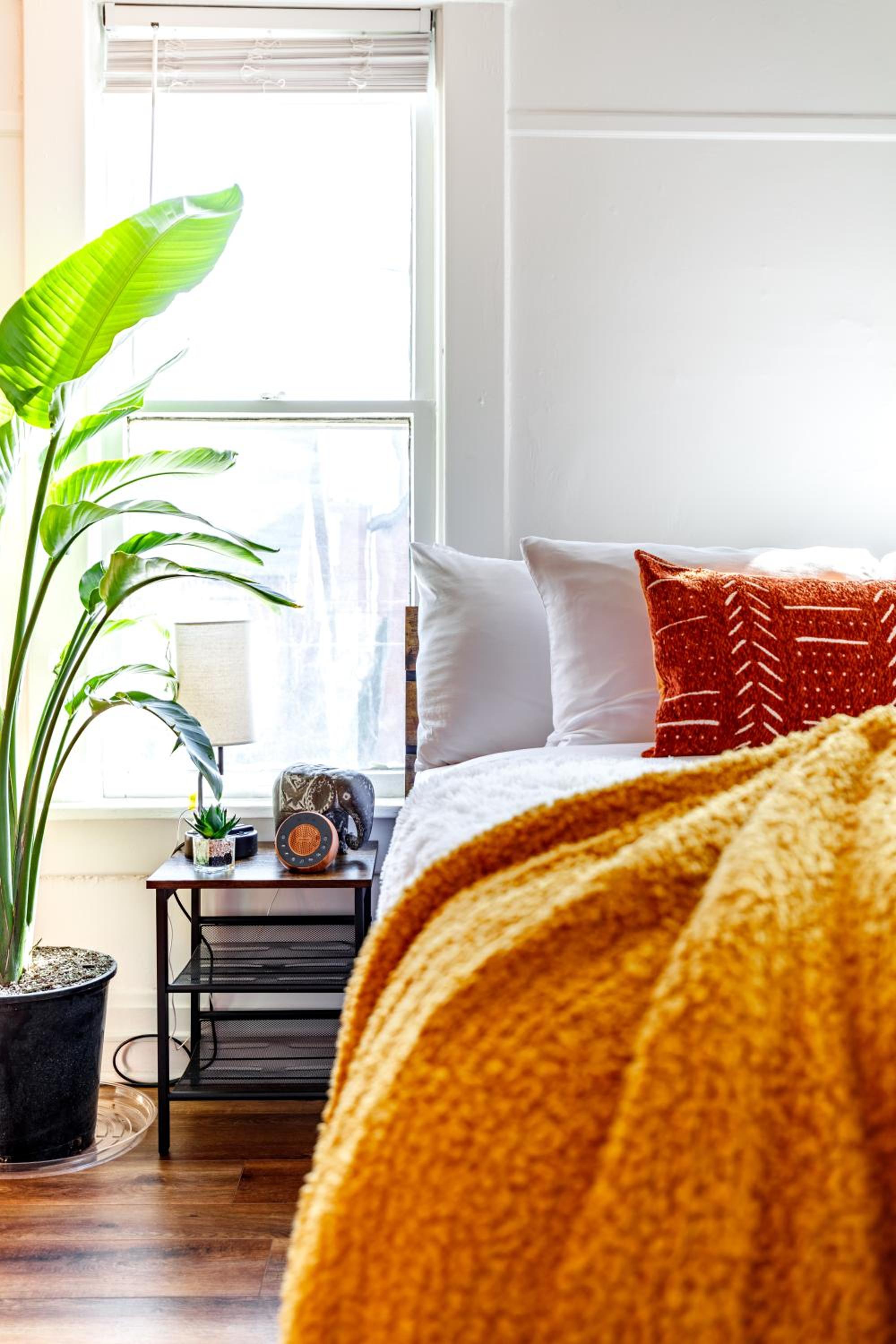 Jungle House Columbus Sleep 16 Downtown Ohio Free Parking - Near Convention Center & Nationwide Arena - 4BR Luxury Home - Pet Friendly - Over 5,800 Five St