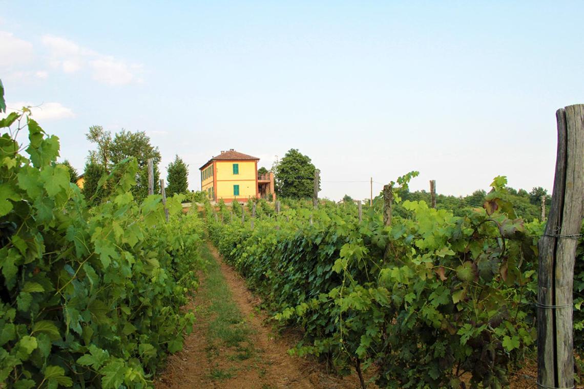 Cascina Desderi