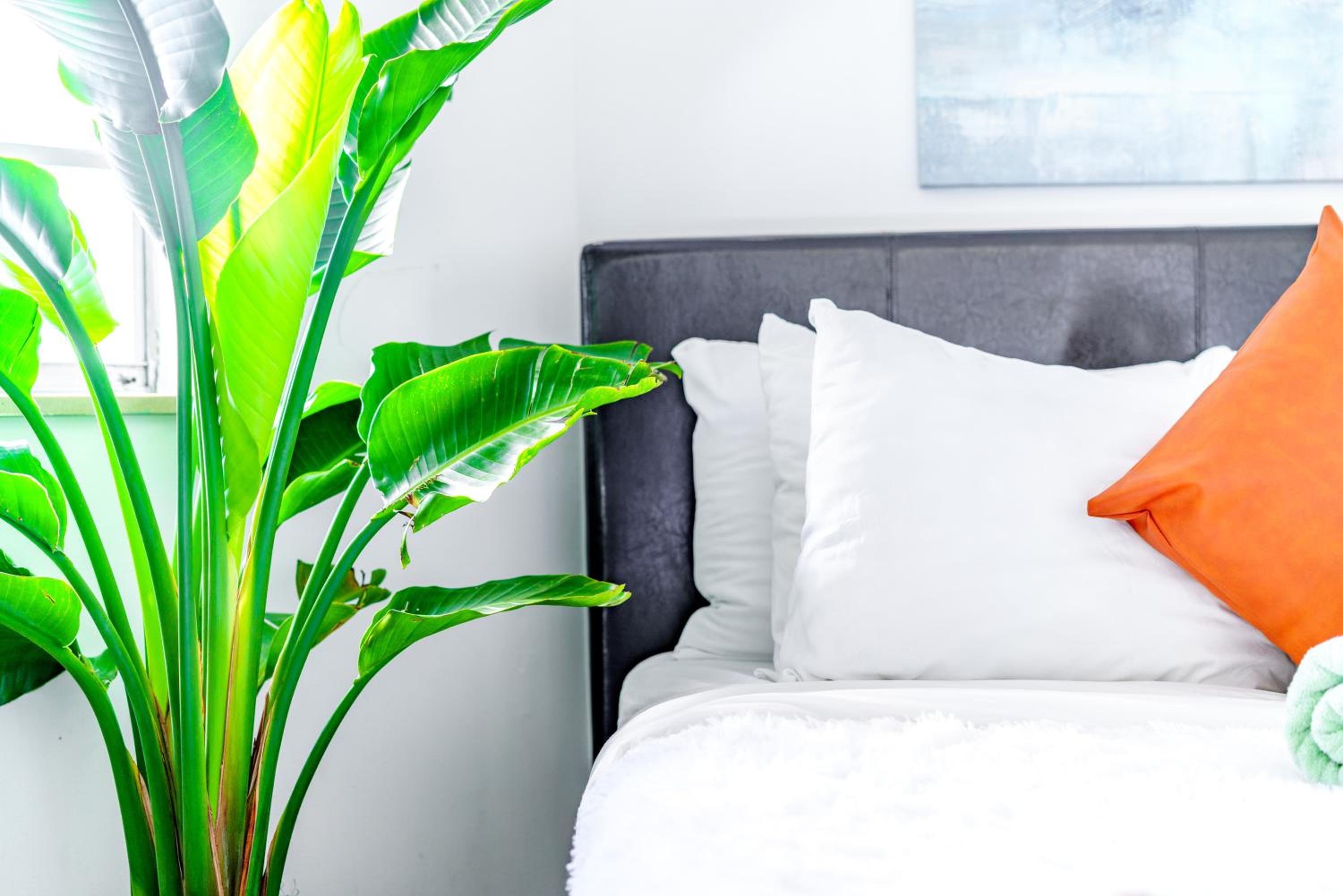 Jungle House Columbus Sleep 12 Downtown Ohio Free Parking - Steps to Convention Center & Nationwide Arena - 2BR Short North Luxury Home - Over 5,800 Five S
