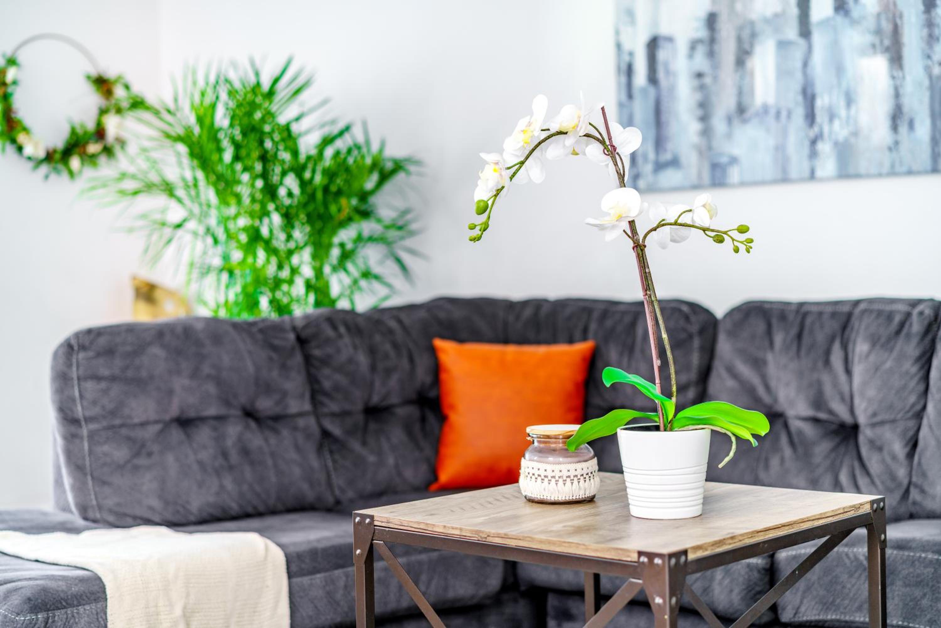 Jungle House Columbus Sleep 12 Downtown Ohio Free Parking - Steps to Convention Center & Nationwide Arena - 2BR Short North Luxury Home - Over 5,800 Five S
