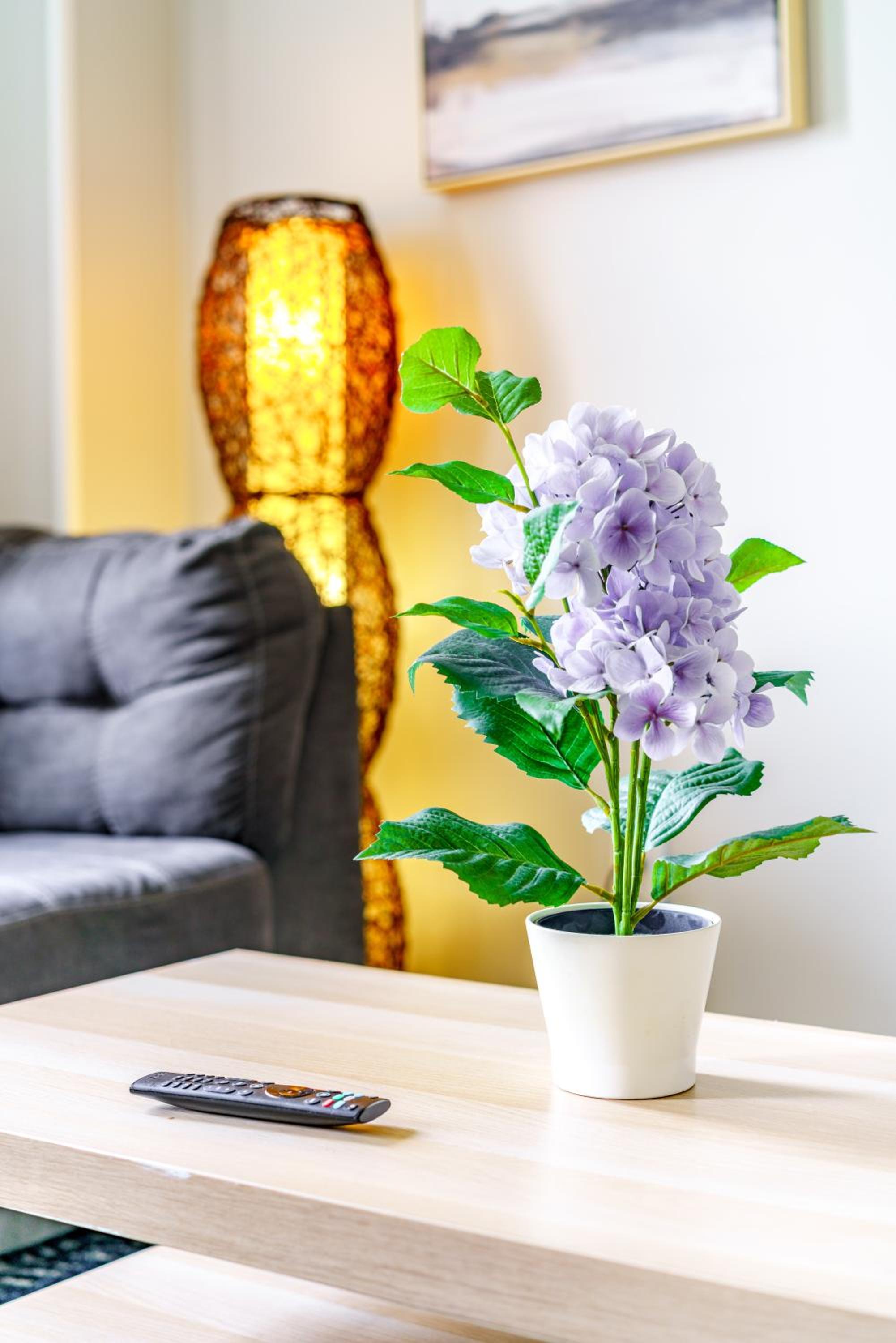 Jungle House Columbus Sleep 12 Downtown Ohio Free Parking - Steps to Convention Center & Nationwide Arena - 2BR Short North Luxury Home - Over 5,800 Five S