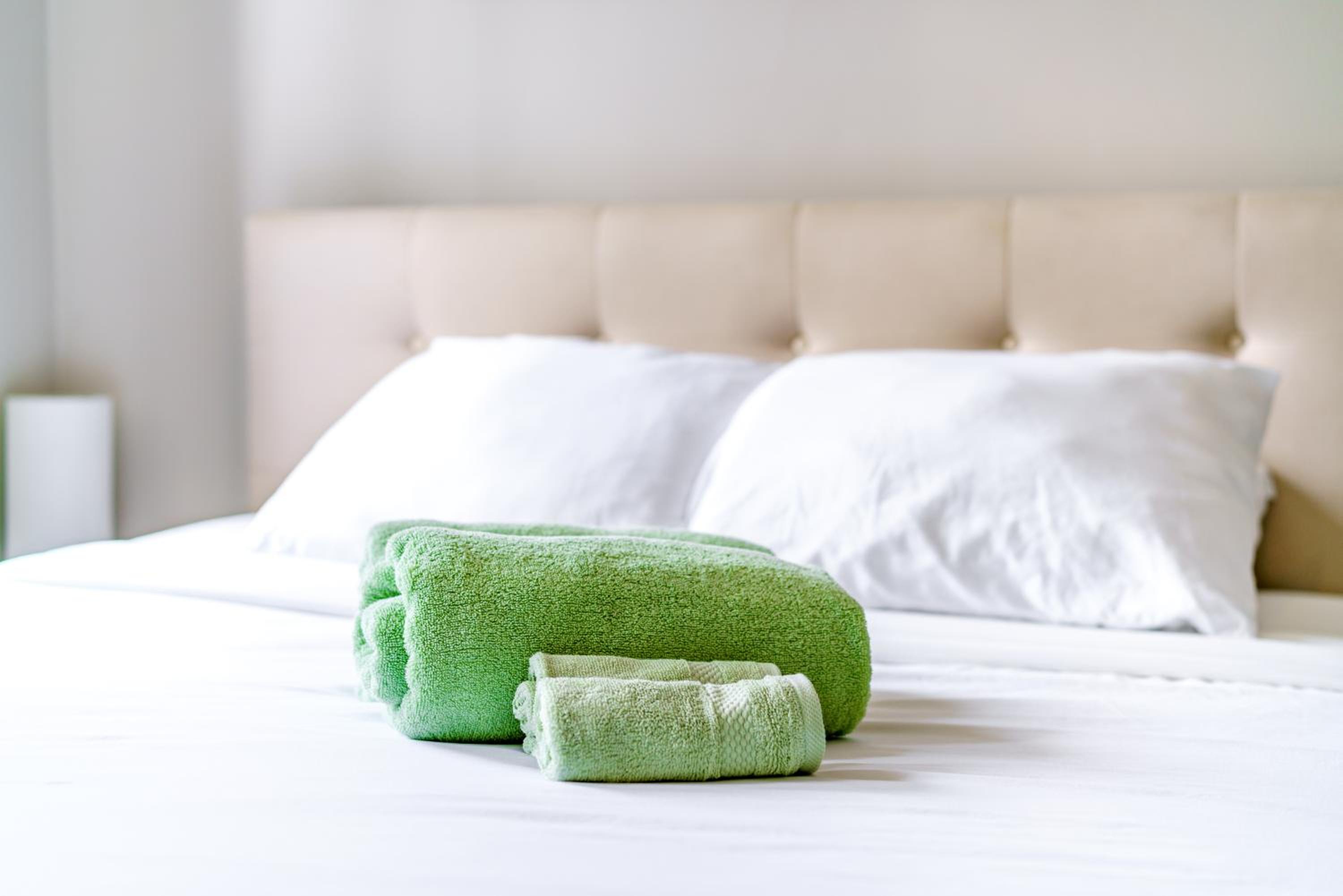 Jungle House Columbus Sleep 12 Downtown Ohio Free Parking - Steps to Convention Center & Nationwide Arena - 2BR Short North Luxury Home - Over 5,800 Five S