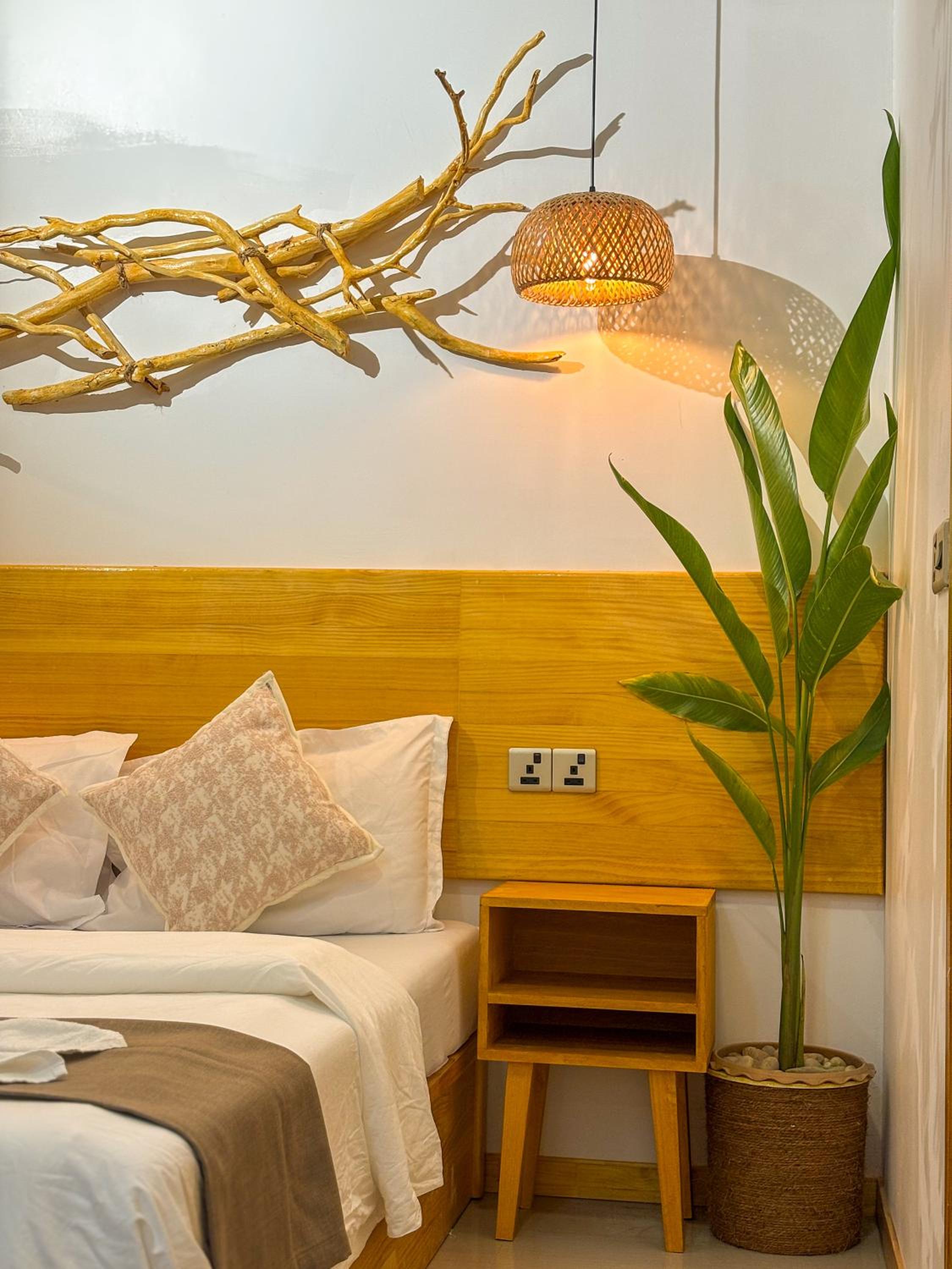Eco Palm Mathiveri - Guest House with Complimentary Shared Kitchen & Laundry