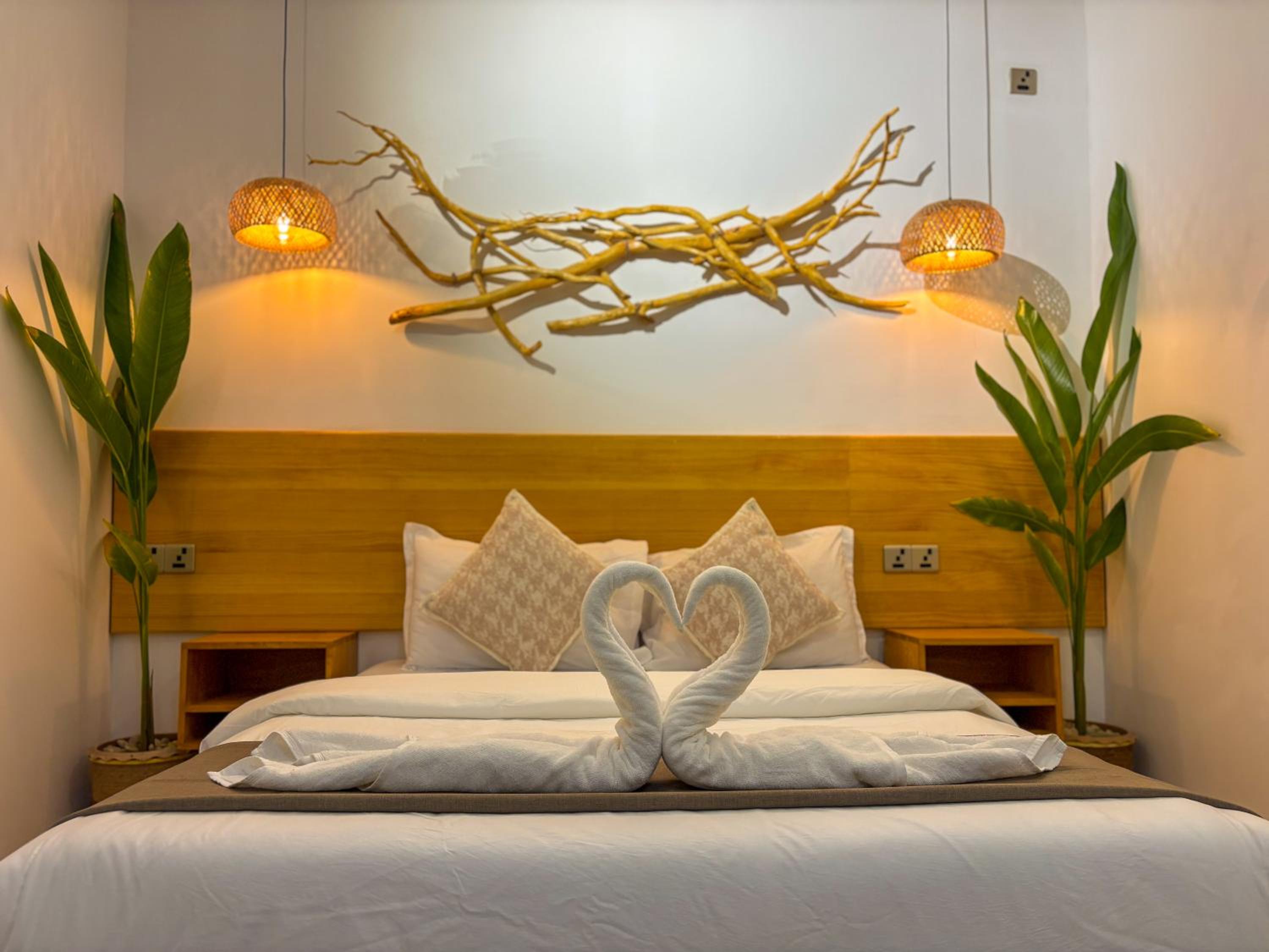 Eco Palm Mathiveri - Guest House with Complimentary Shared Kitchen & Laundry