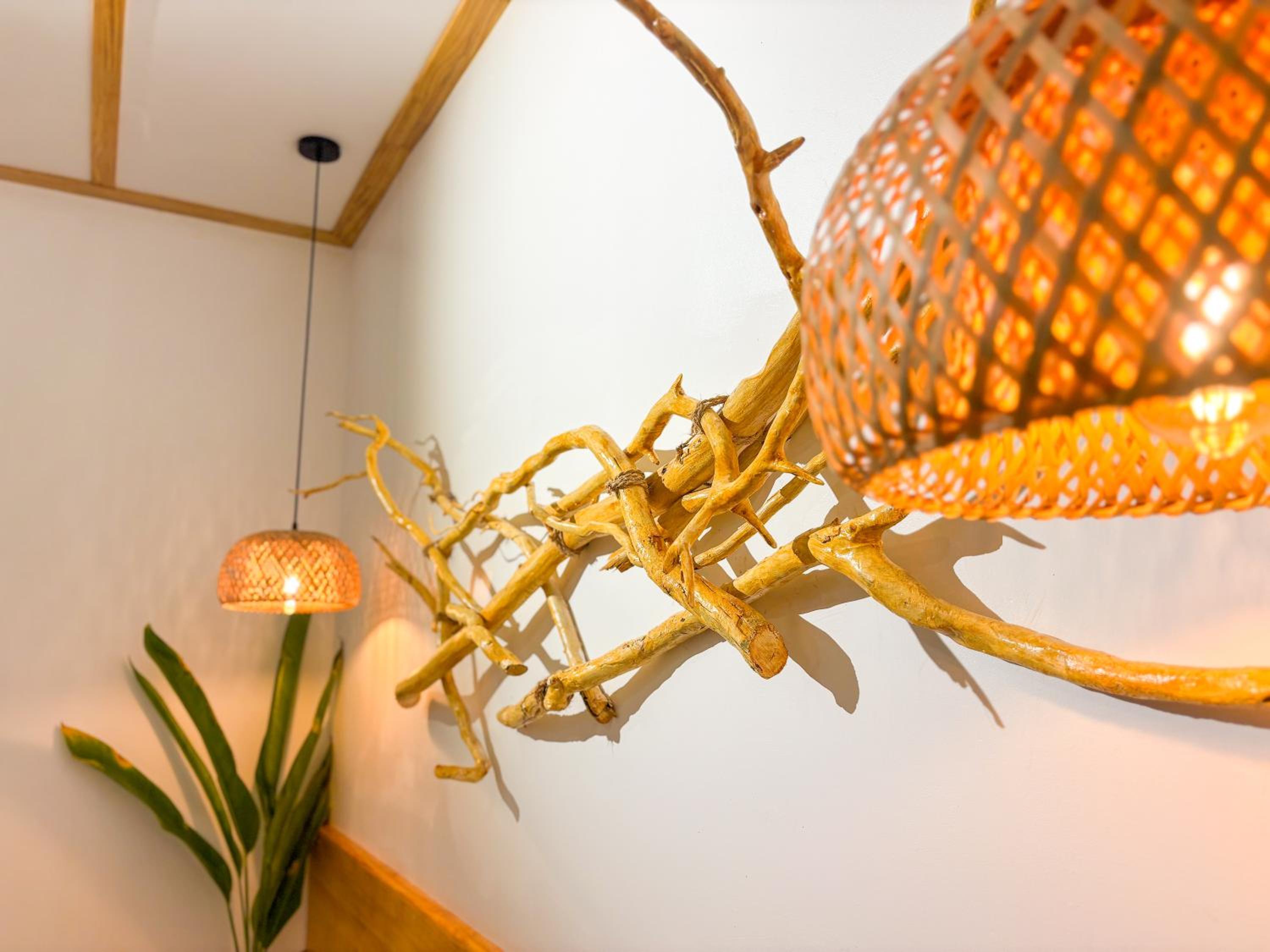Eco Palm Mathiveri - Guest House with Complimentary Shared Kitchen & Laundry