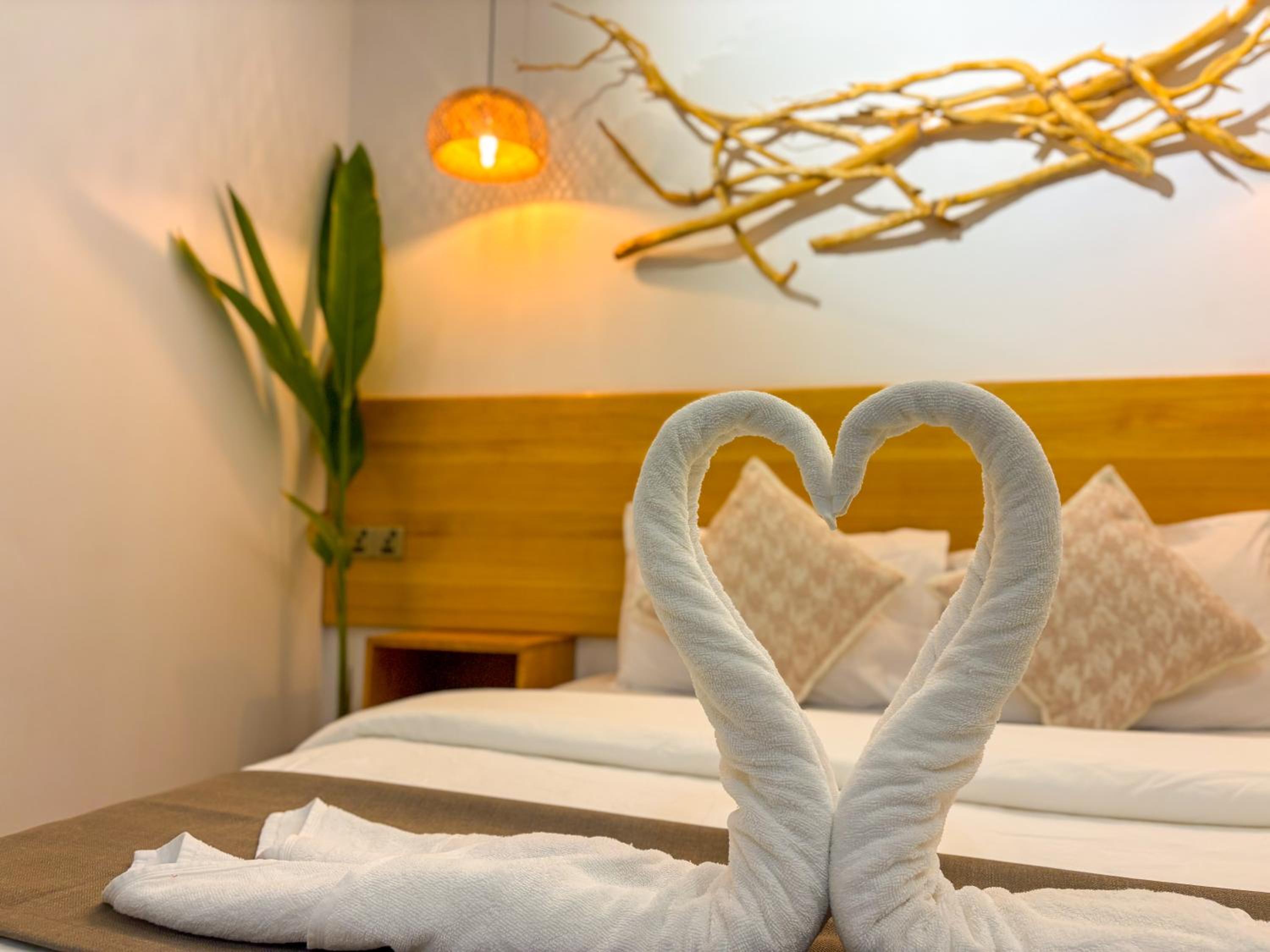 Eco Palm Mathiveri - Guest House with Complimentary Shared Kitchen & Laundry