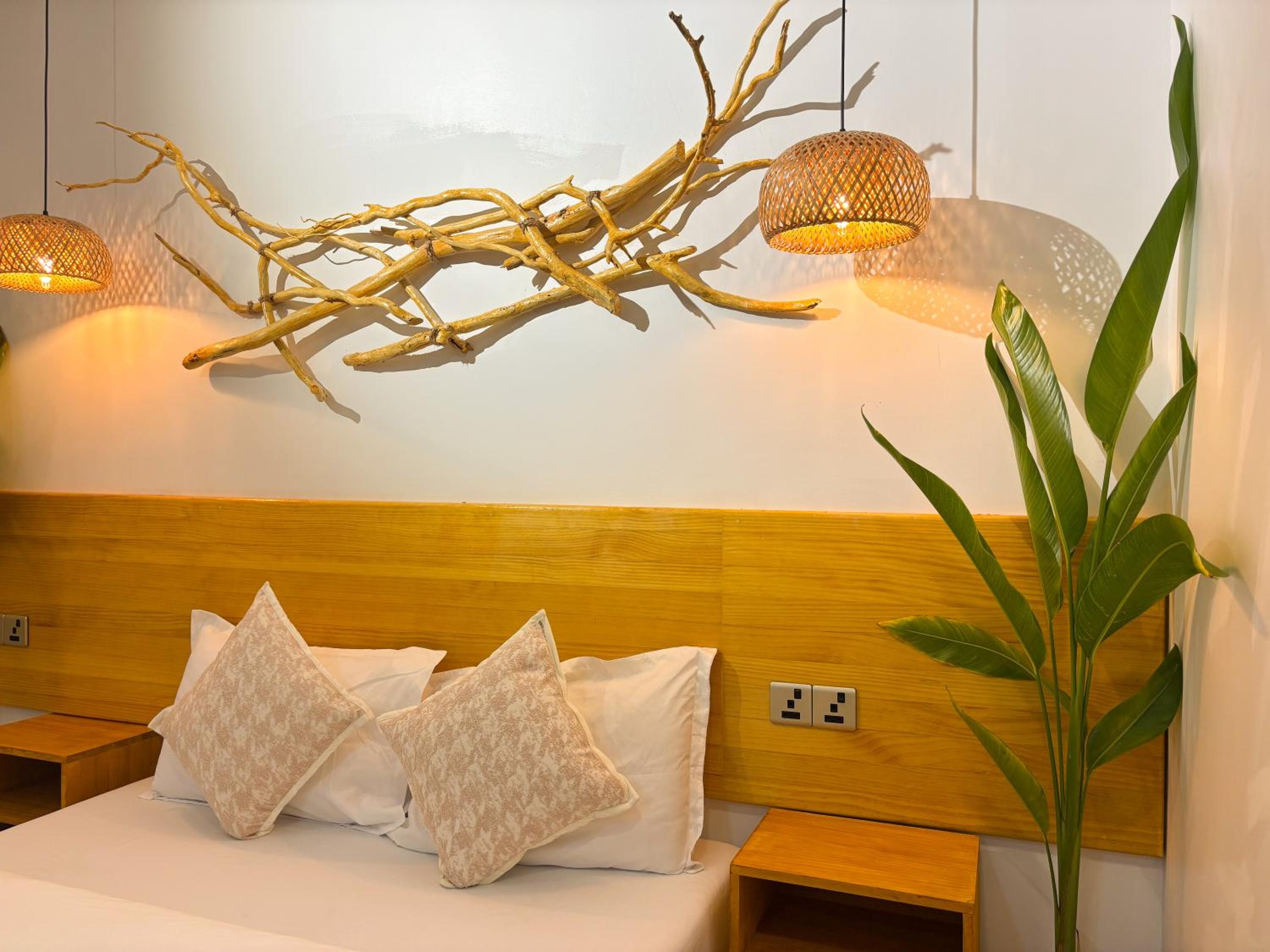 Eco Palm Mathiveri - Guest House with Complimentary Shared Kitchen & Laundry