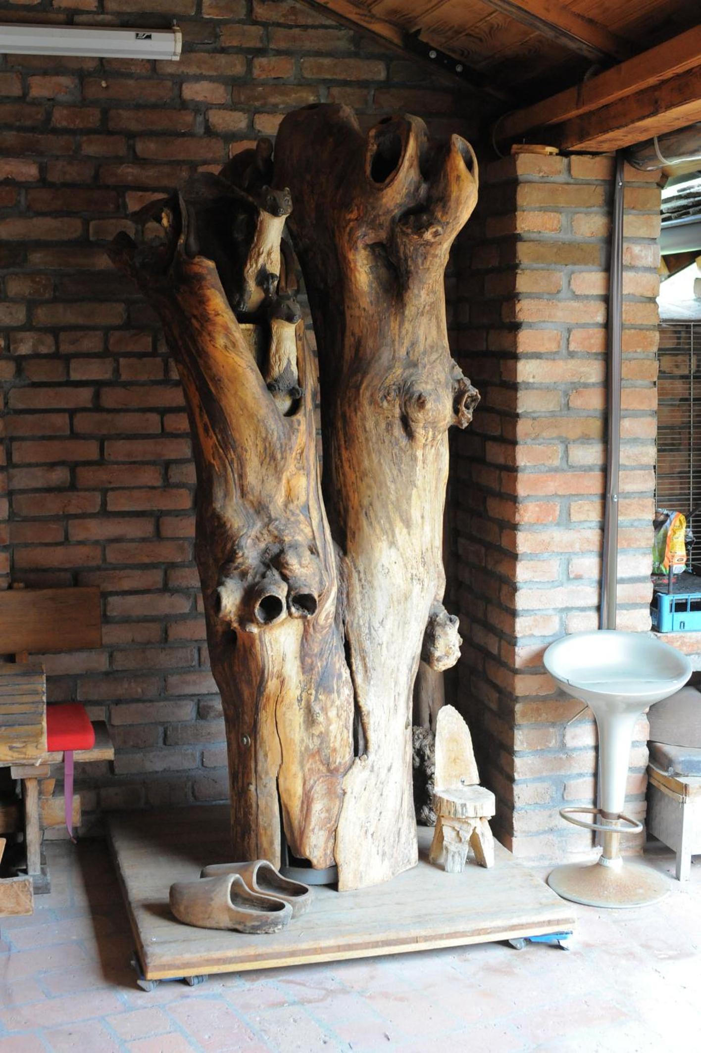 Photo 46