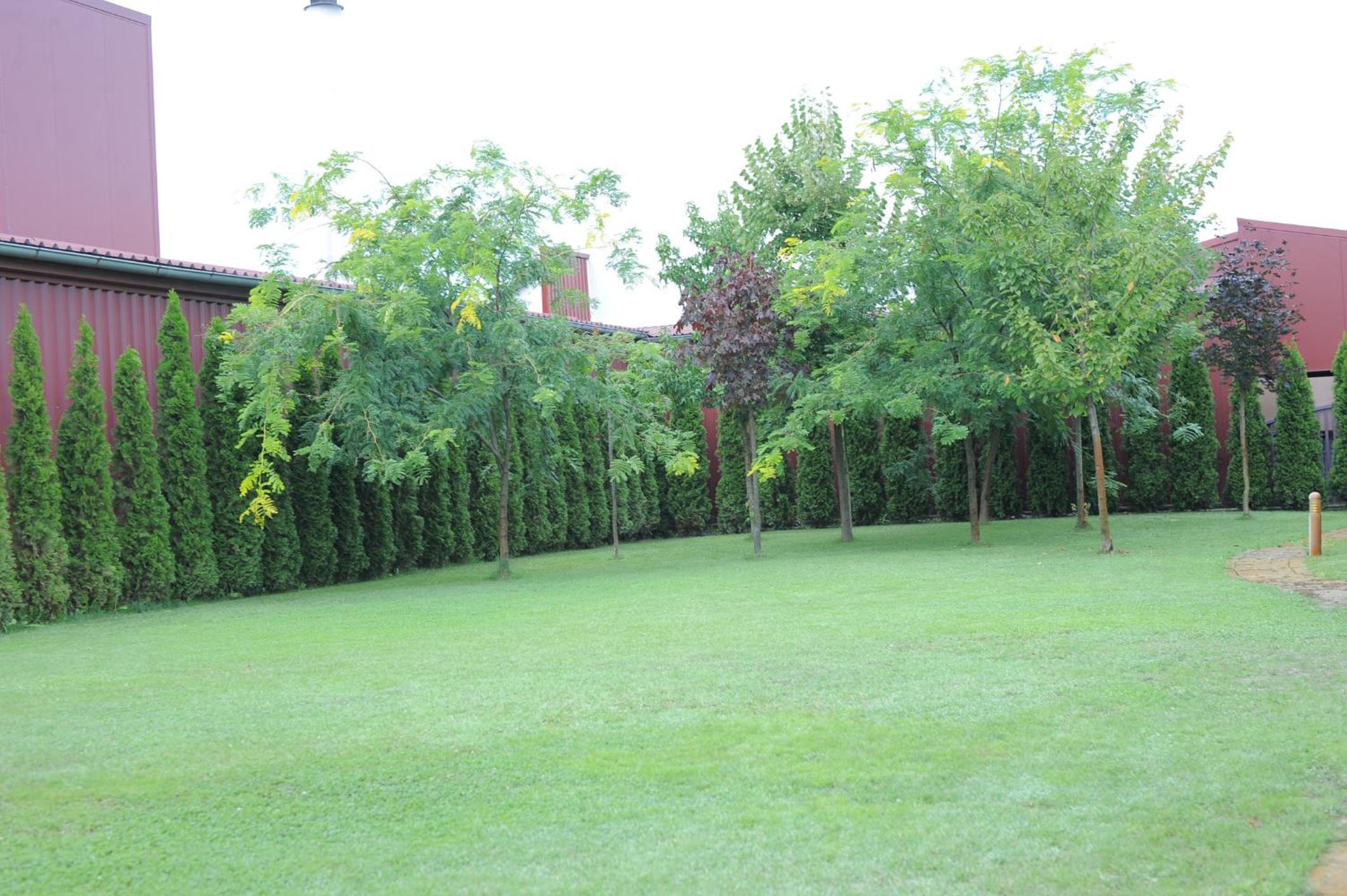 Photo 49