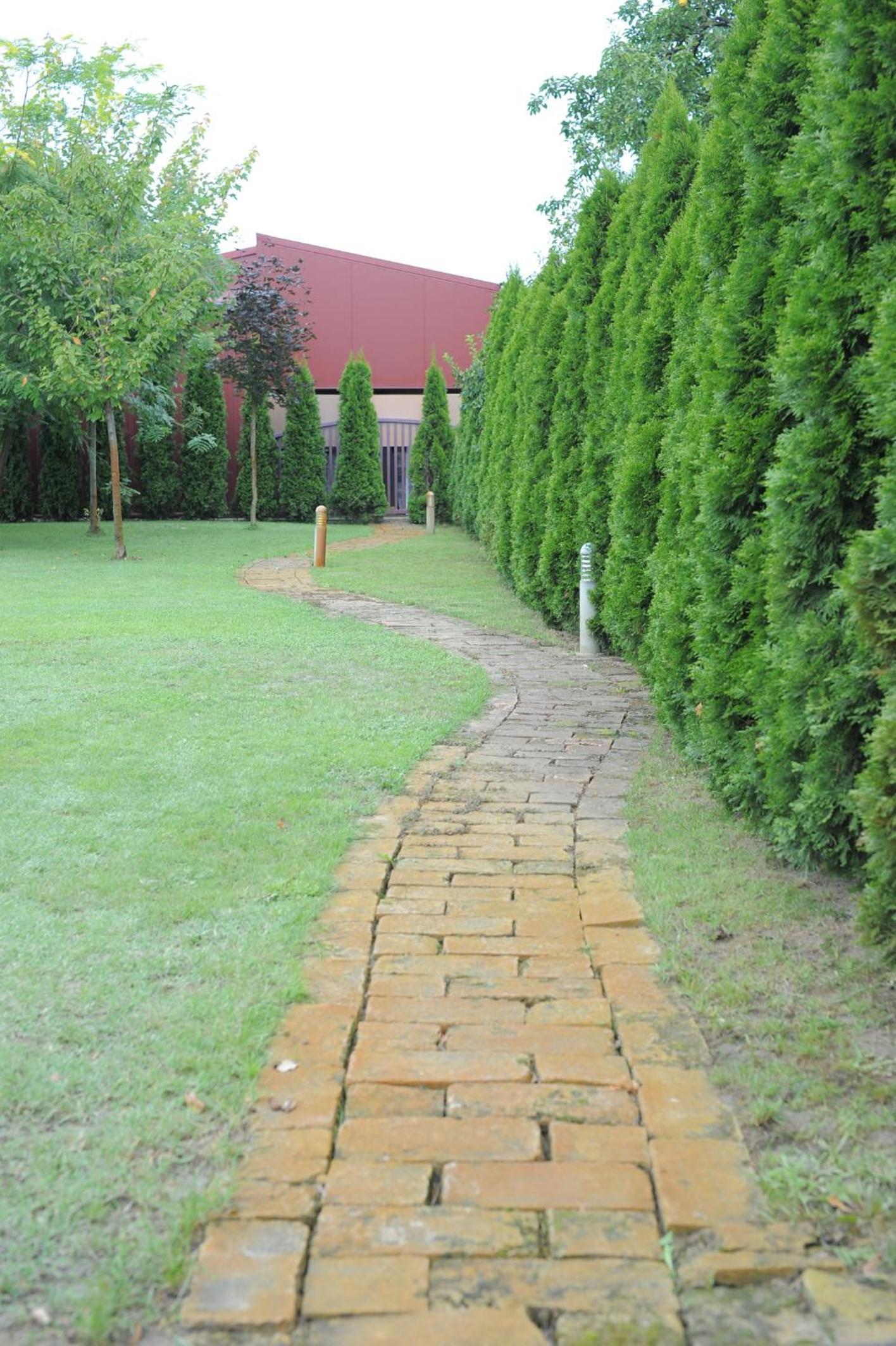 Photo 48