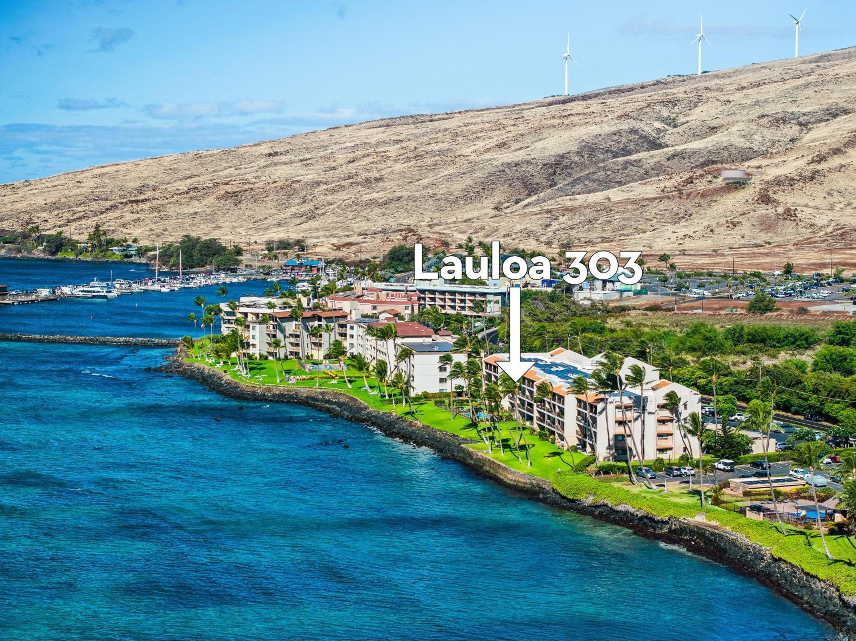 Lauloa 303
