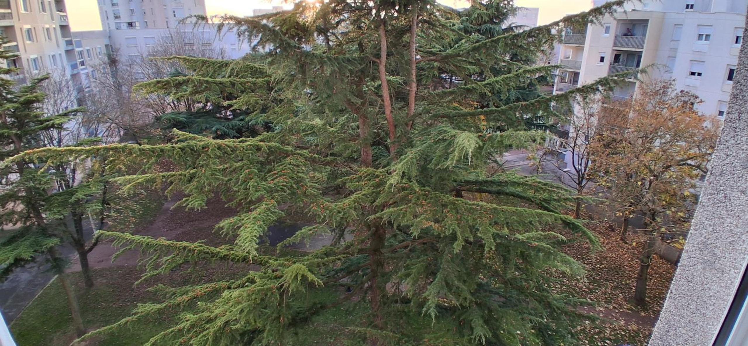 Dans grand appart de 113m2 proche Paris, photo 62