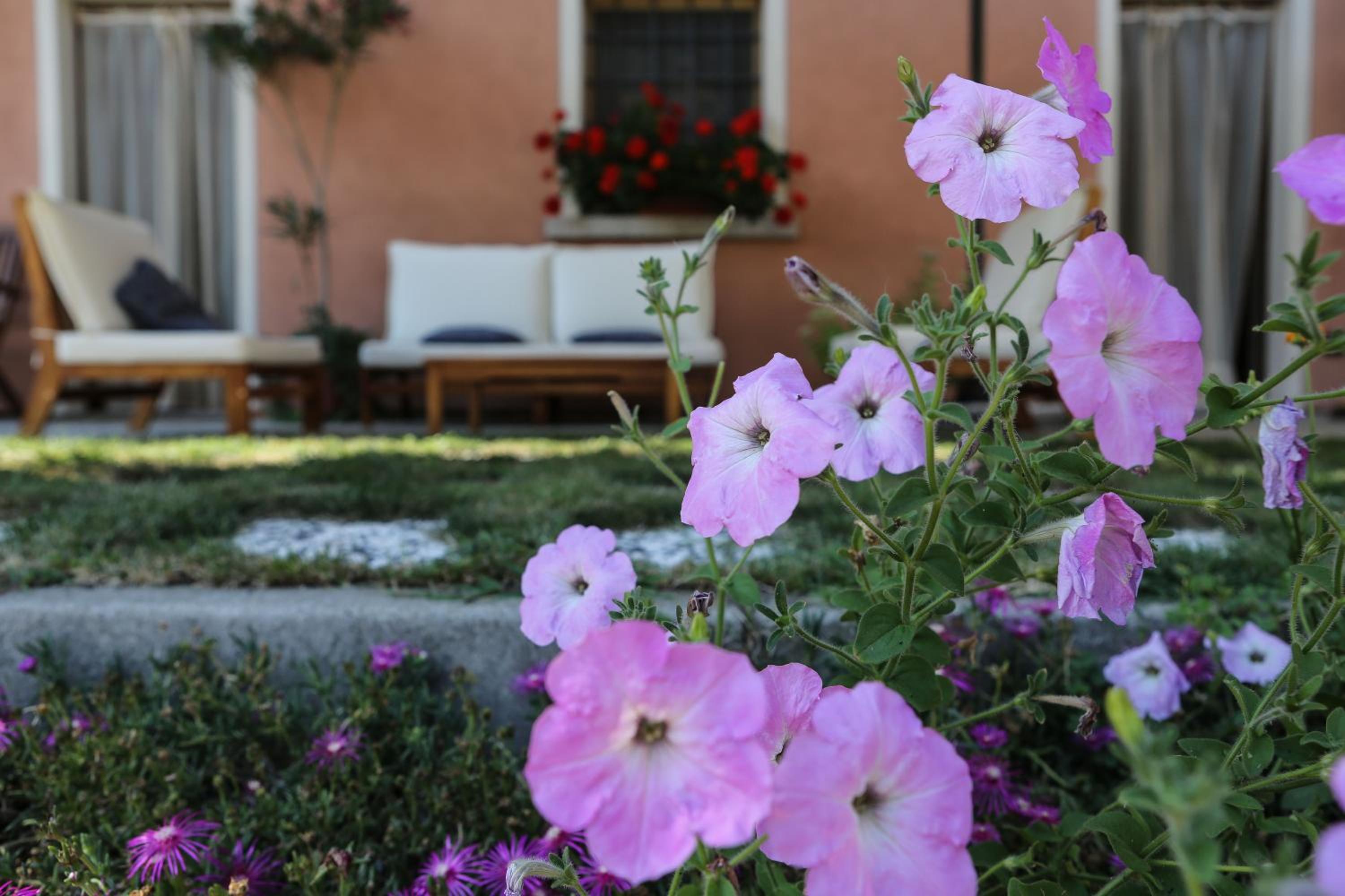 Tenuta Valtoppa